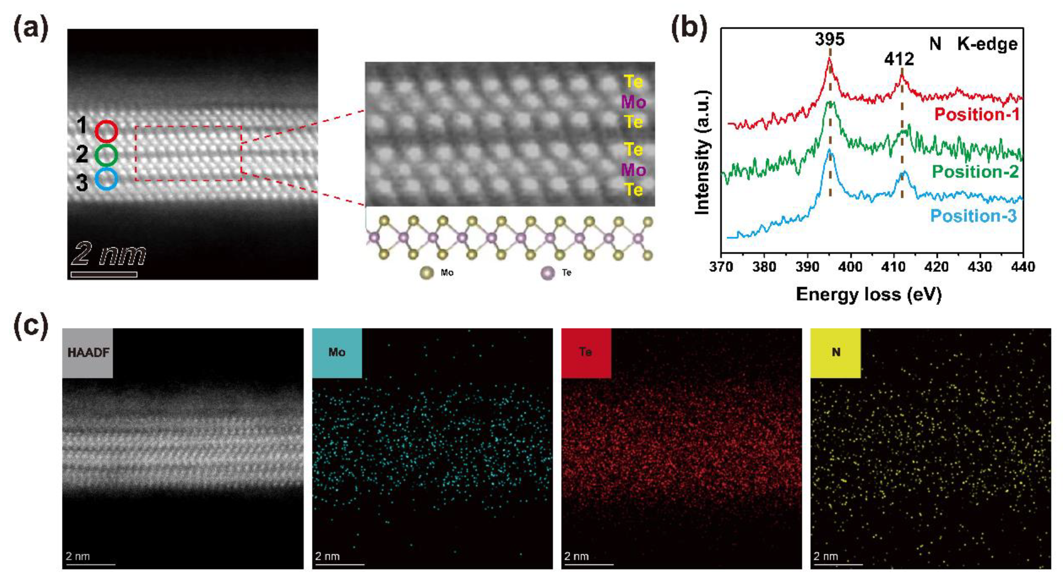 Nanomaterials 15 01721 g001