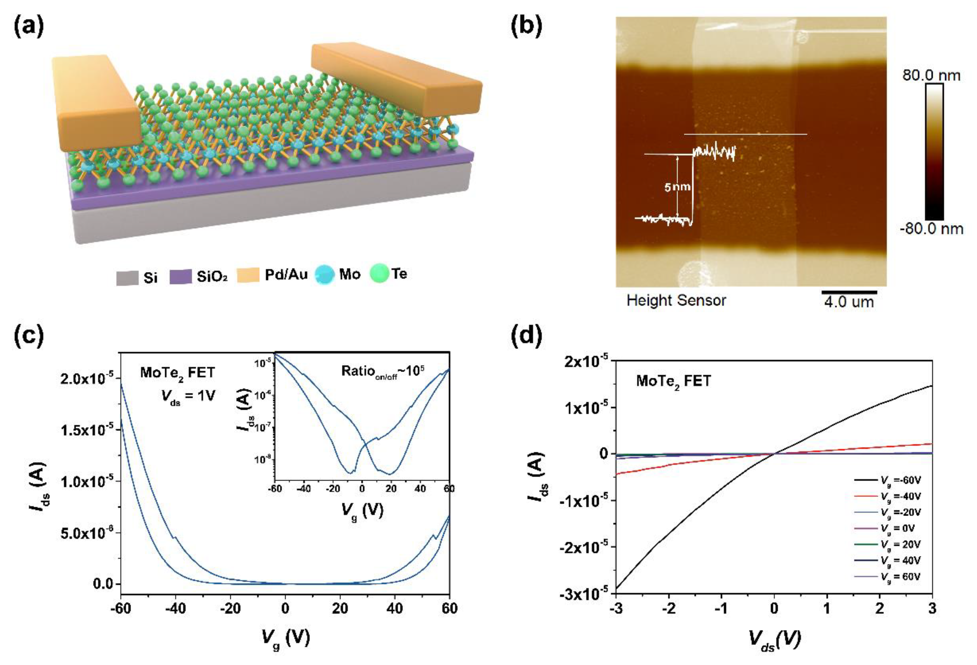 Nanomaterials 15 01721 g004