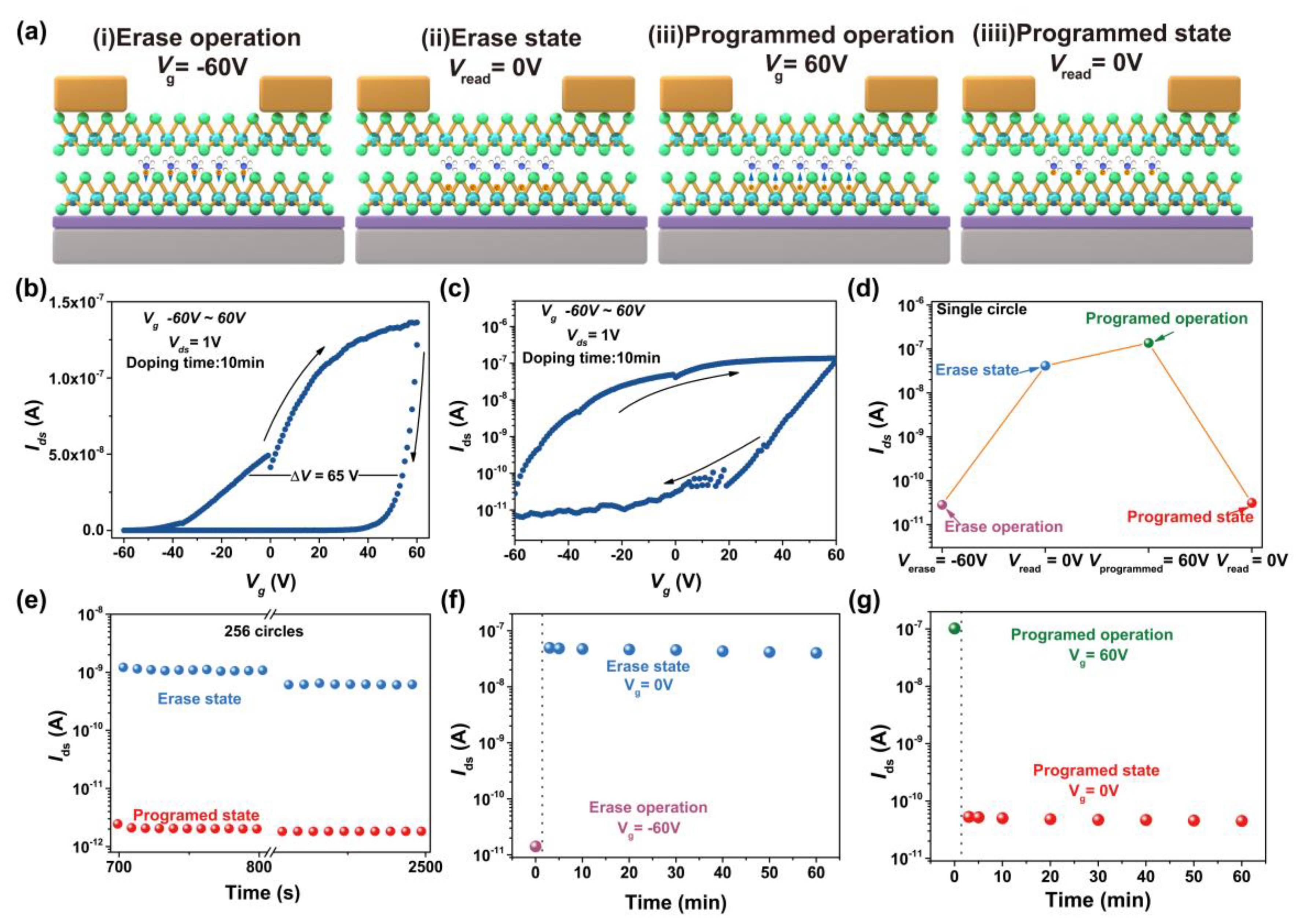 Nanomaterials 15 01721 g006
