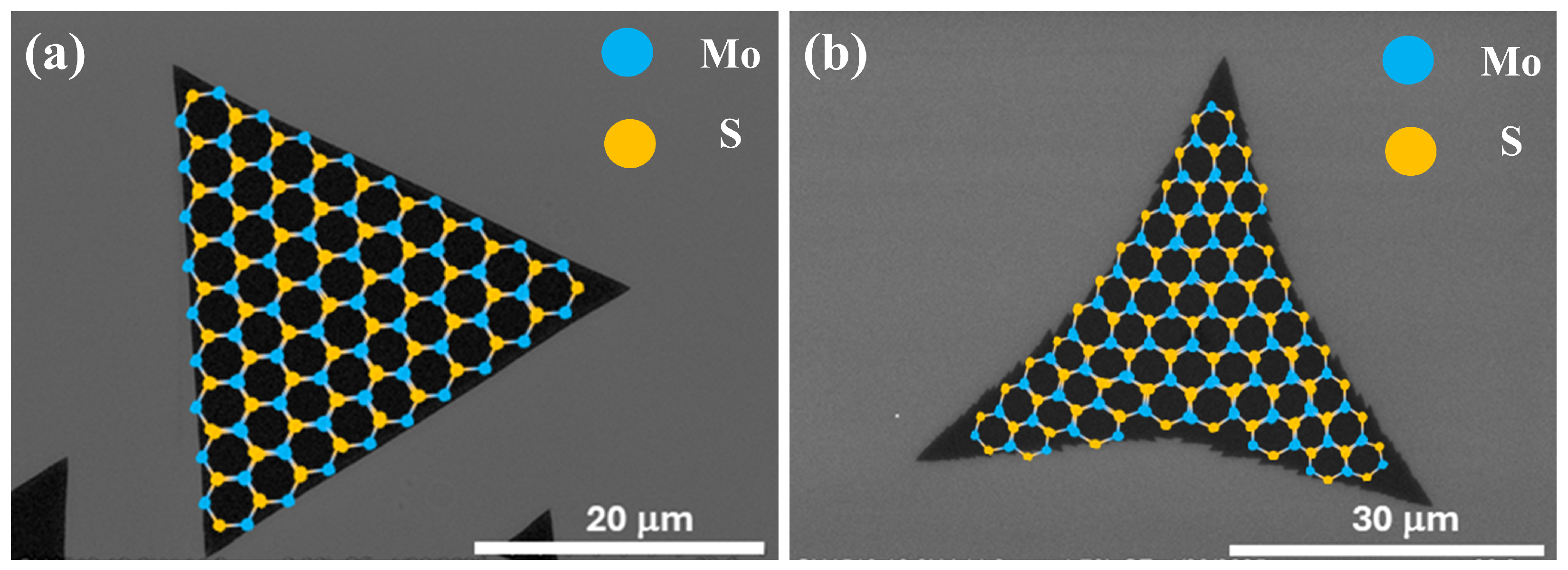Nanomaterials 15 01723 g003