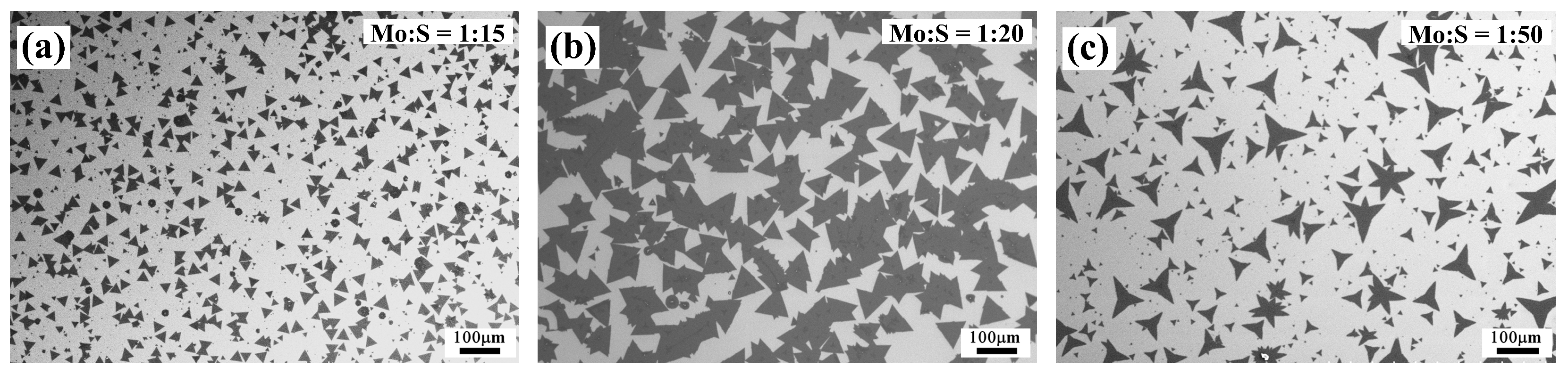 Nanomaterials 15 01723 g005