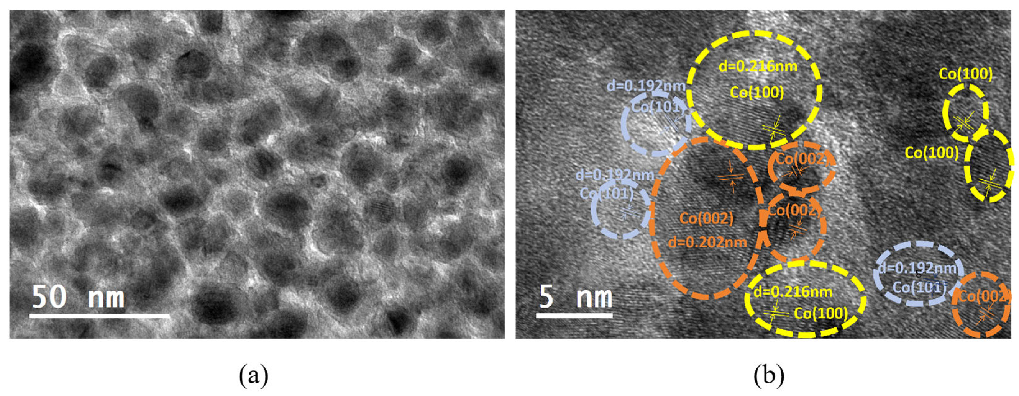 Nanomaterials 15 01735 g001