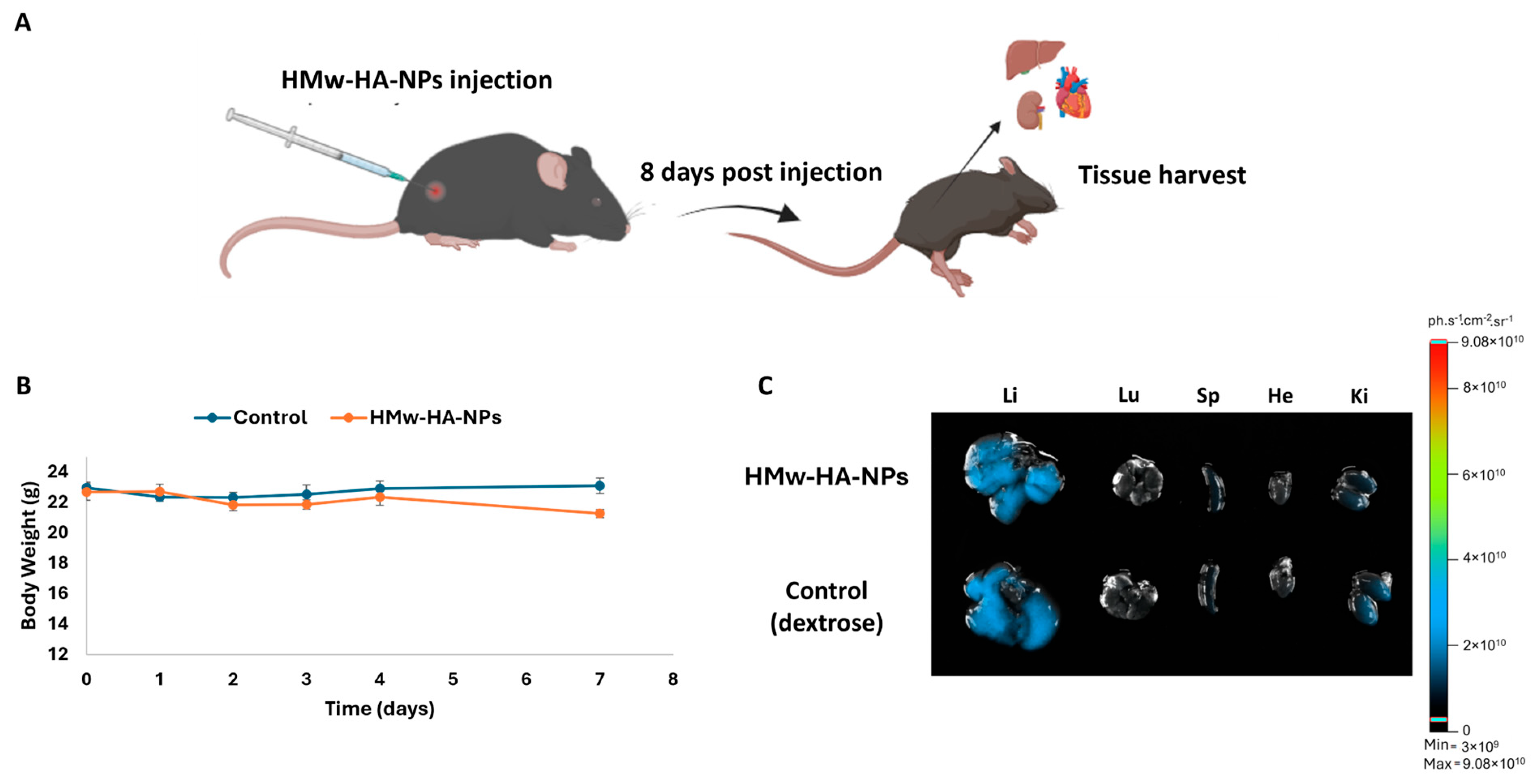 Nanomaterials 15 01739 g005