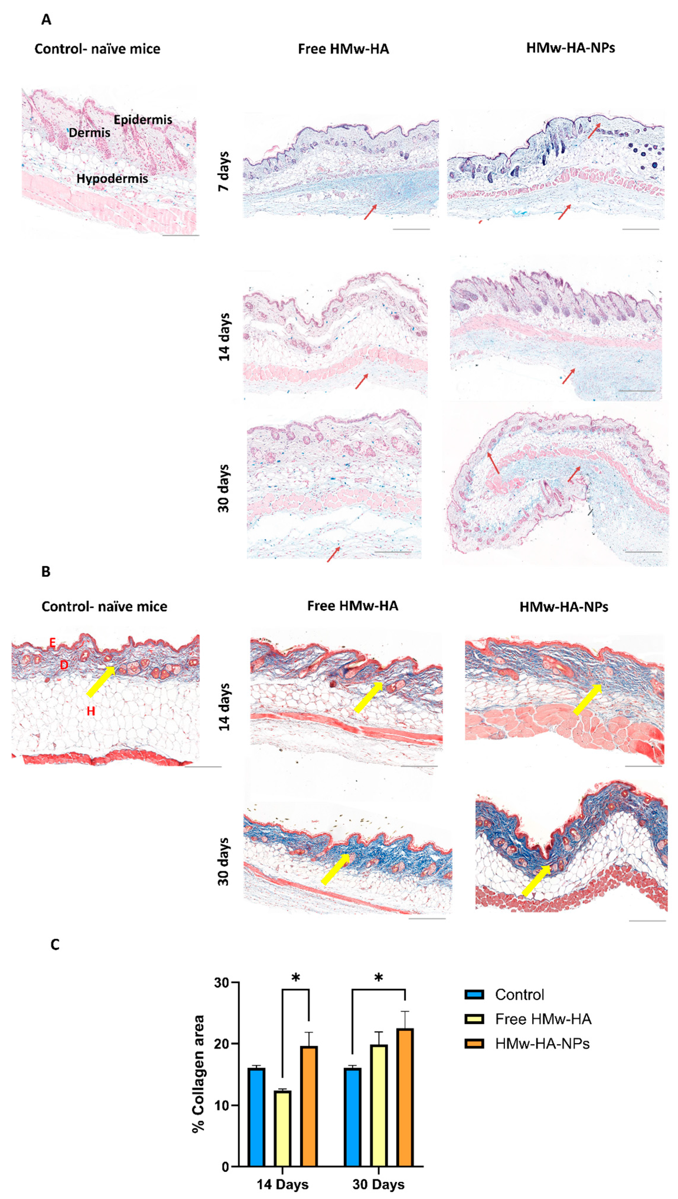 Nanomaterials 15 01739 g006