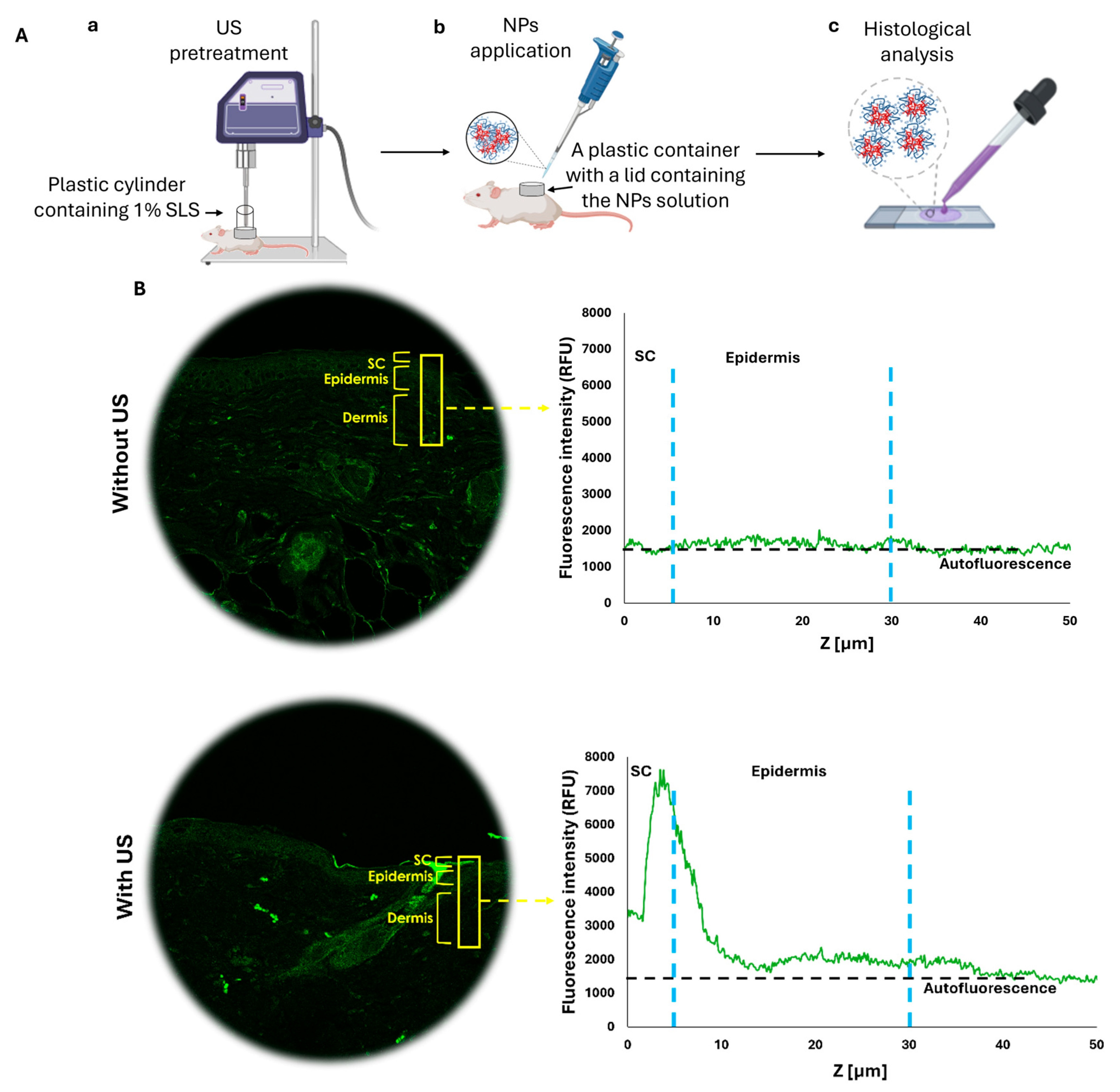 Nanomaterials 15 01739 g008a