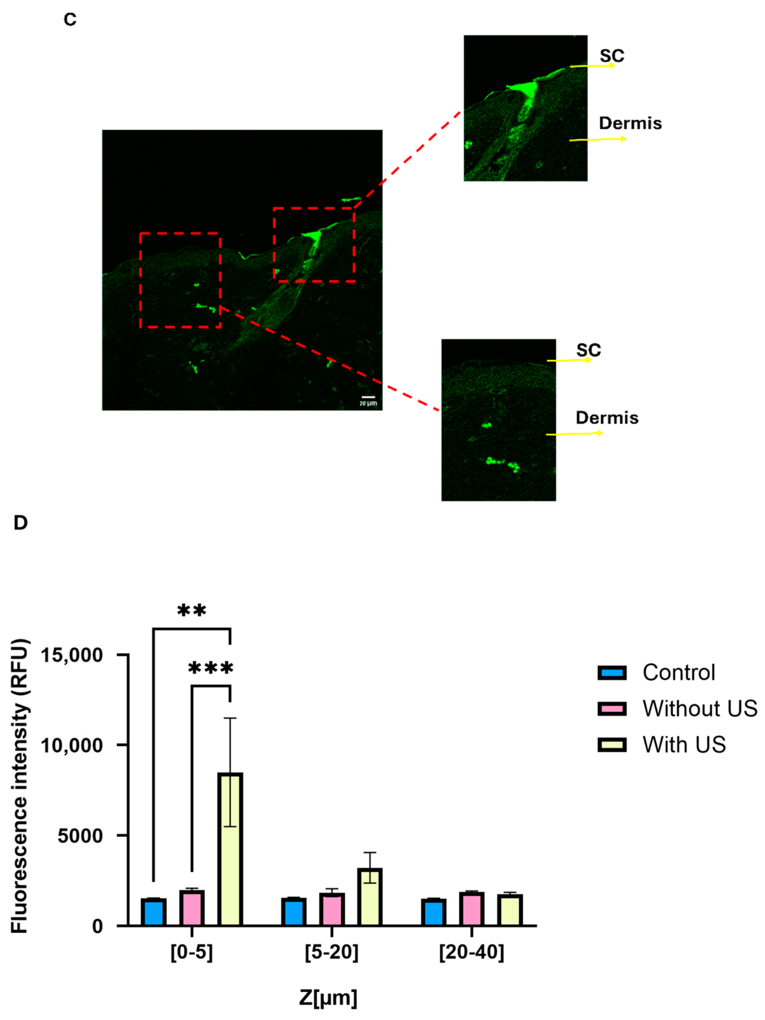 Nanomaterials 15 01739 g008b