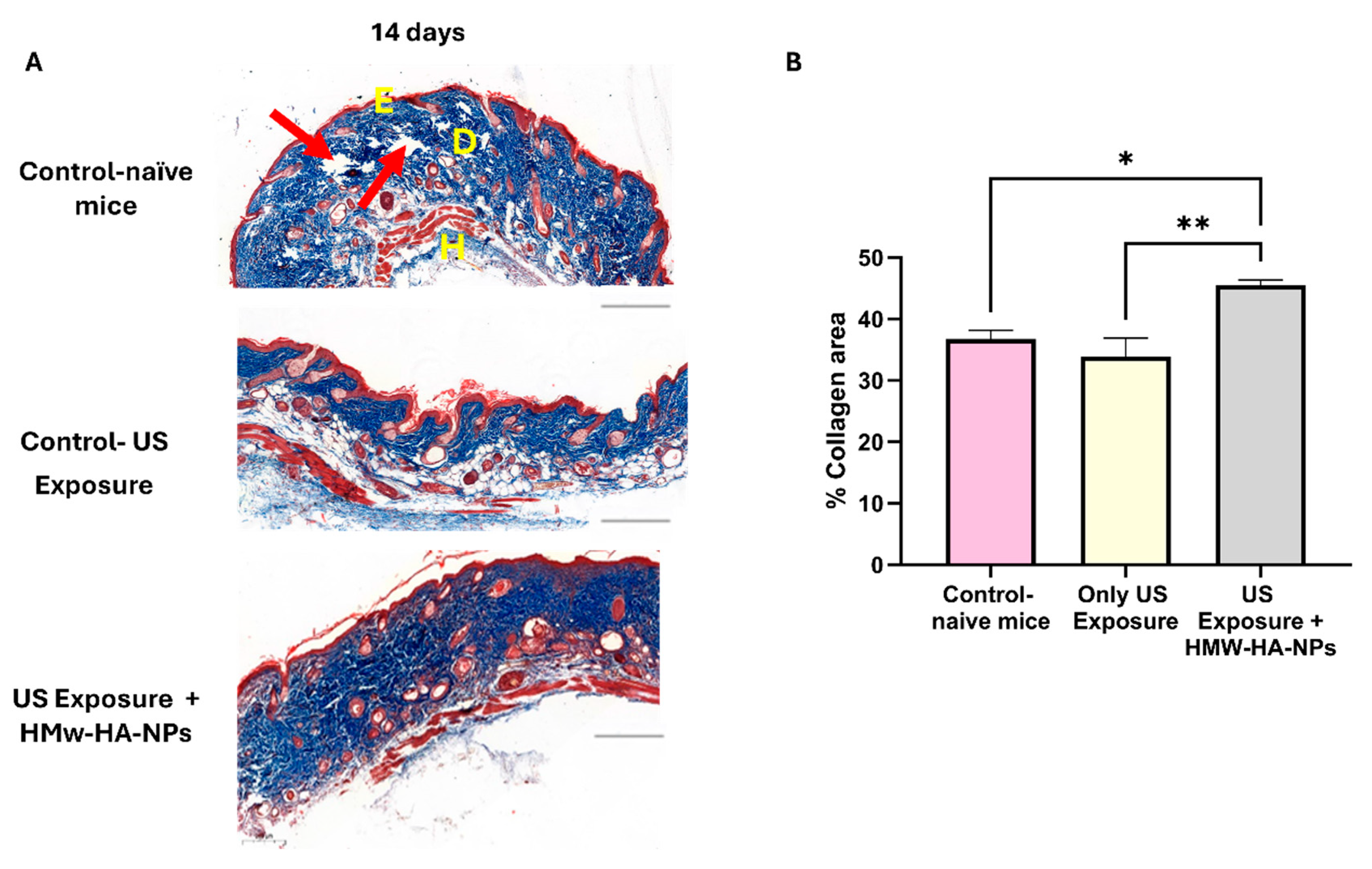 Nanomaterials 15 01739 g009
