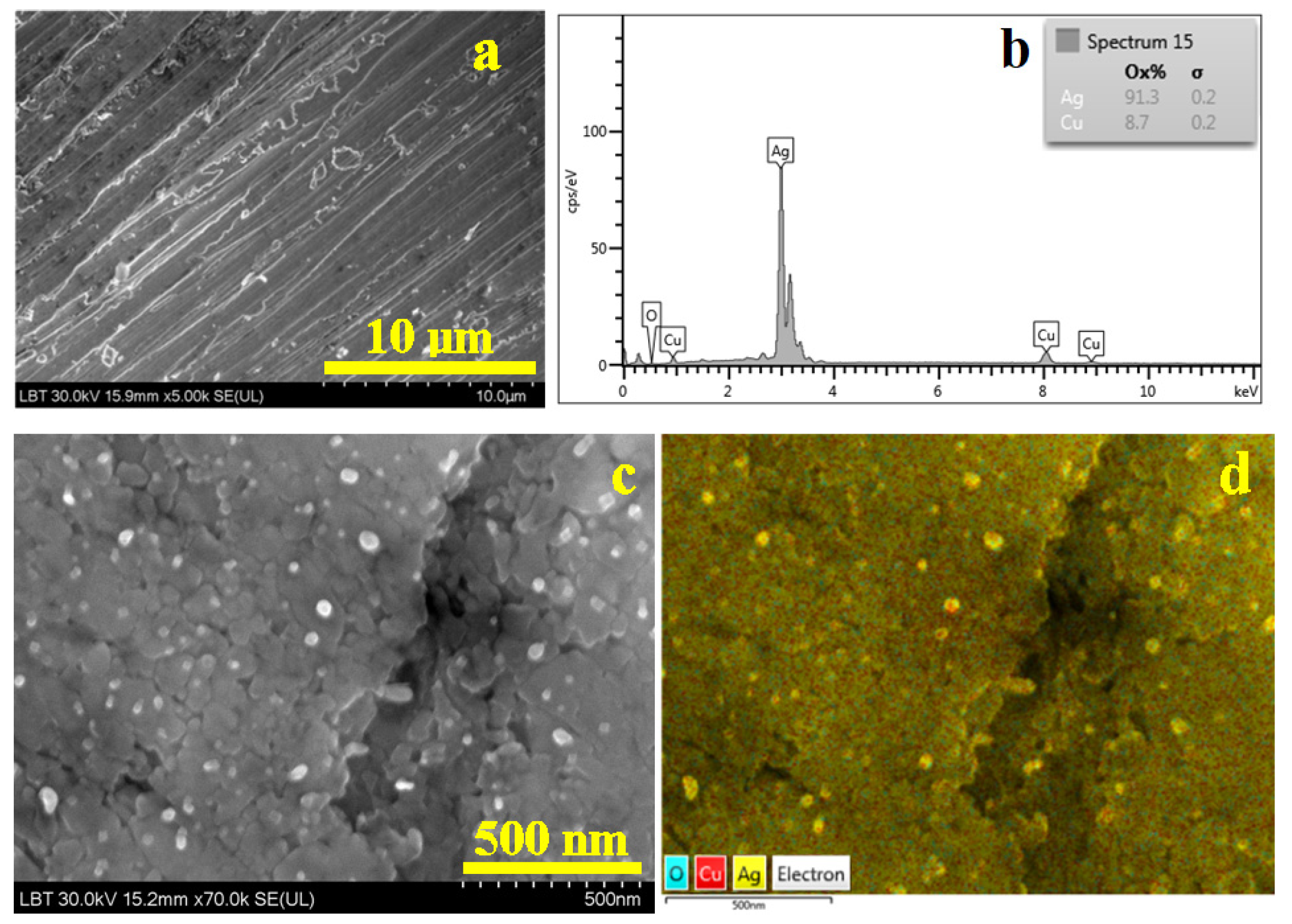 Nanomaterials 15 01740 g007