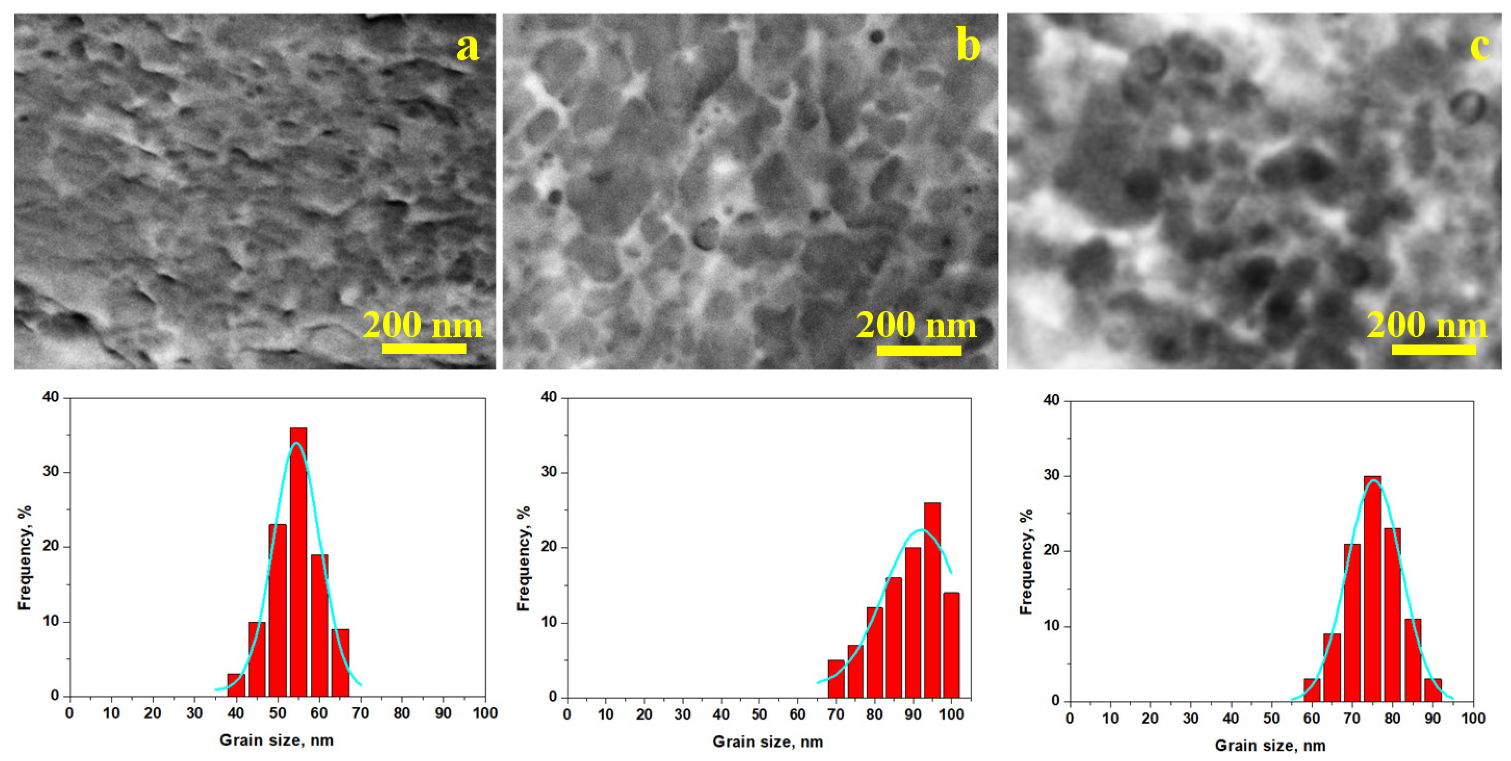 Nanomaterials 15 01740 g008
