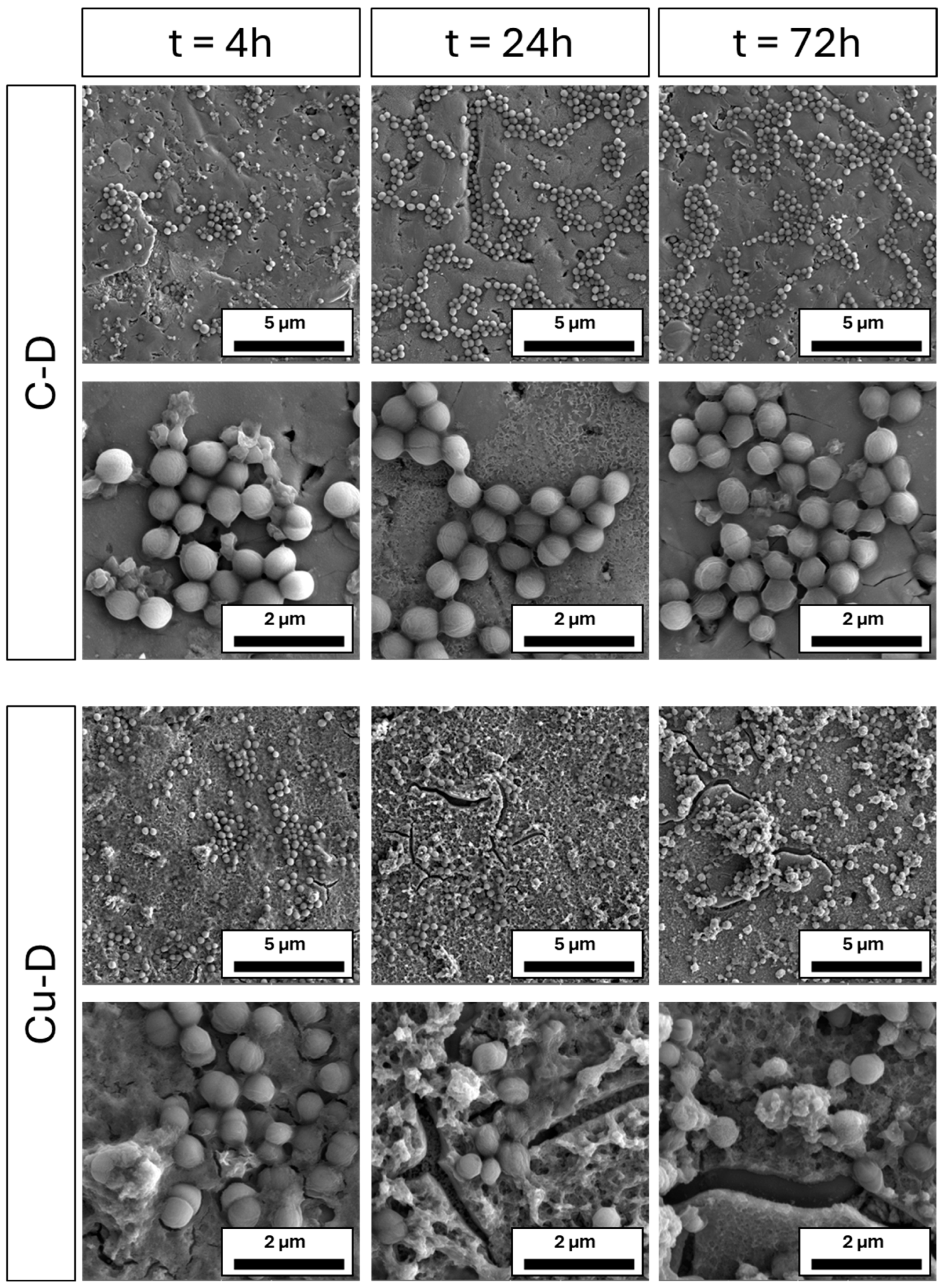 Nanomaterials 15 01742 g007