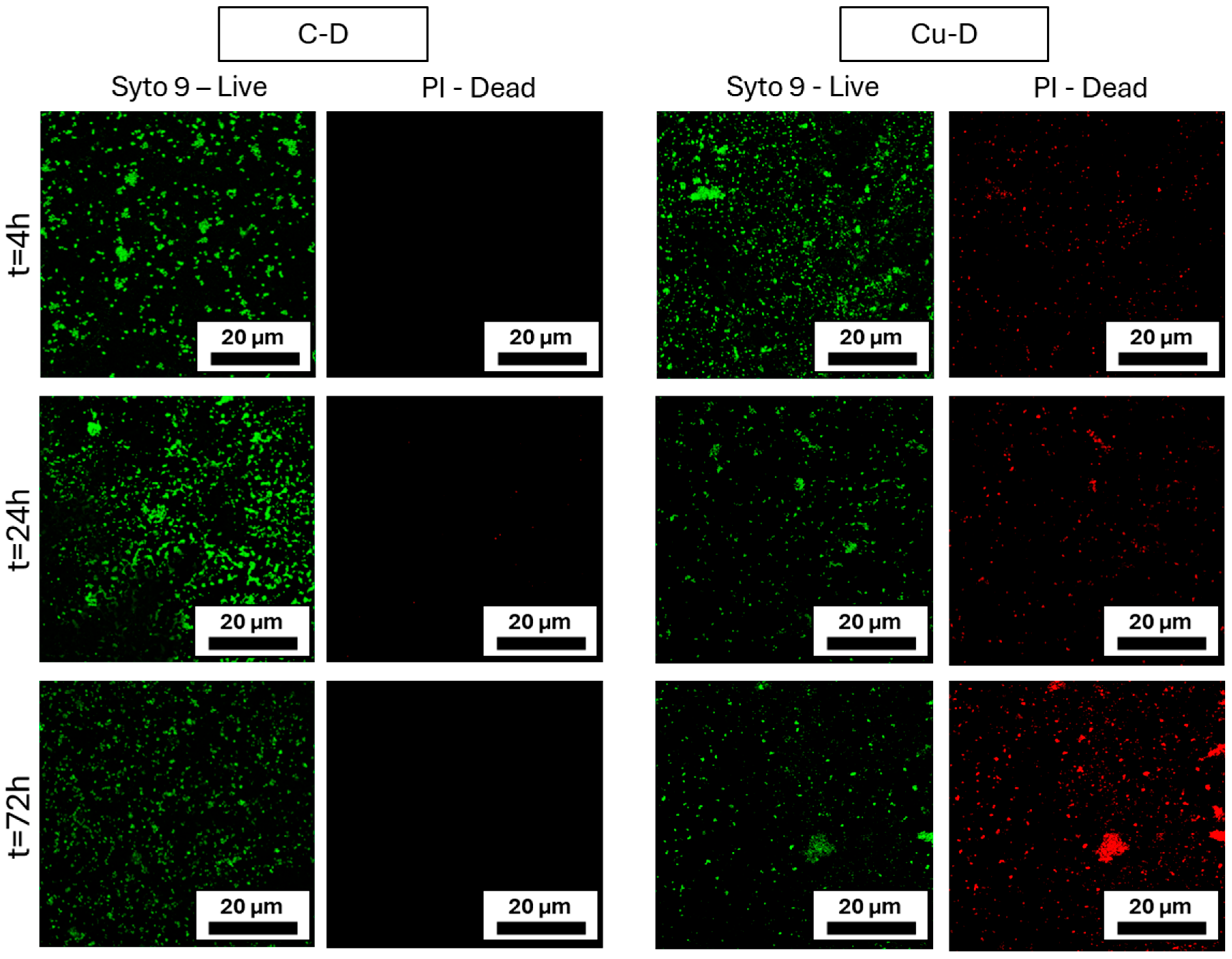 Nanomaterials 15 01742 g008