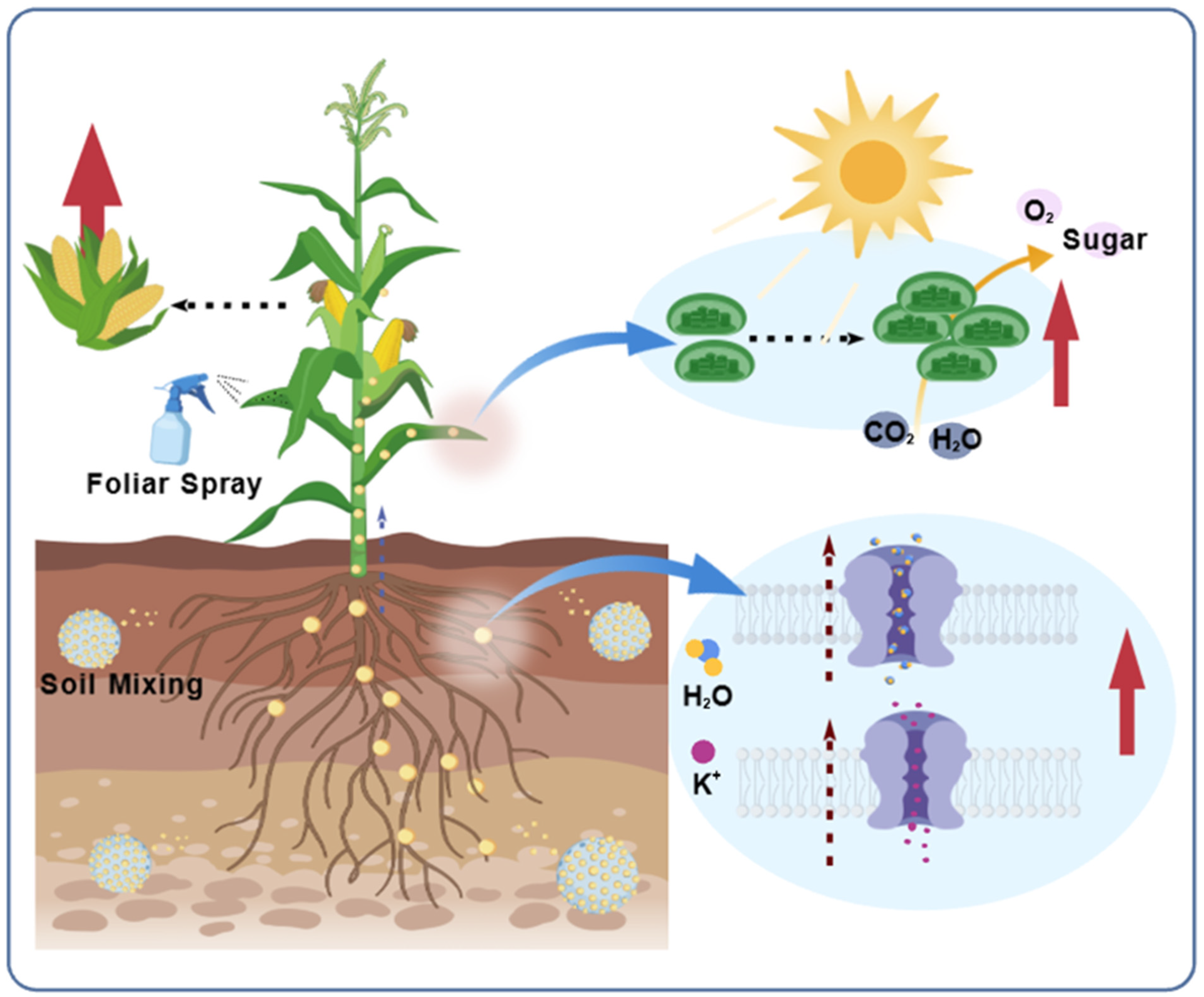 Nanomaterials 15 01743 g003