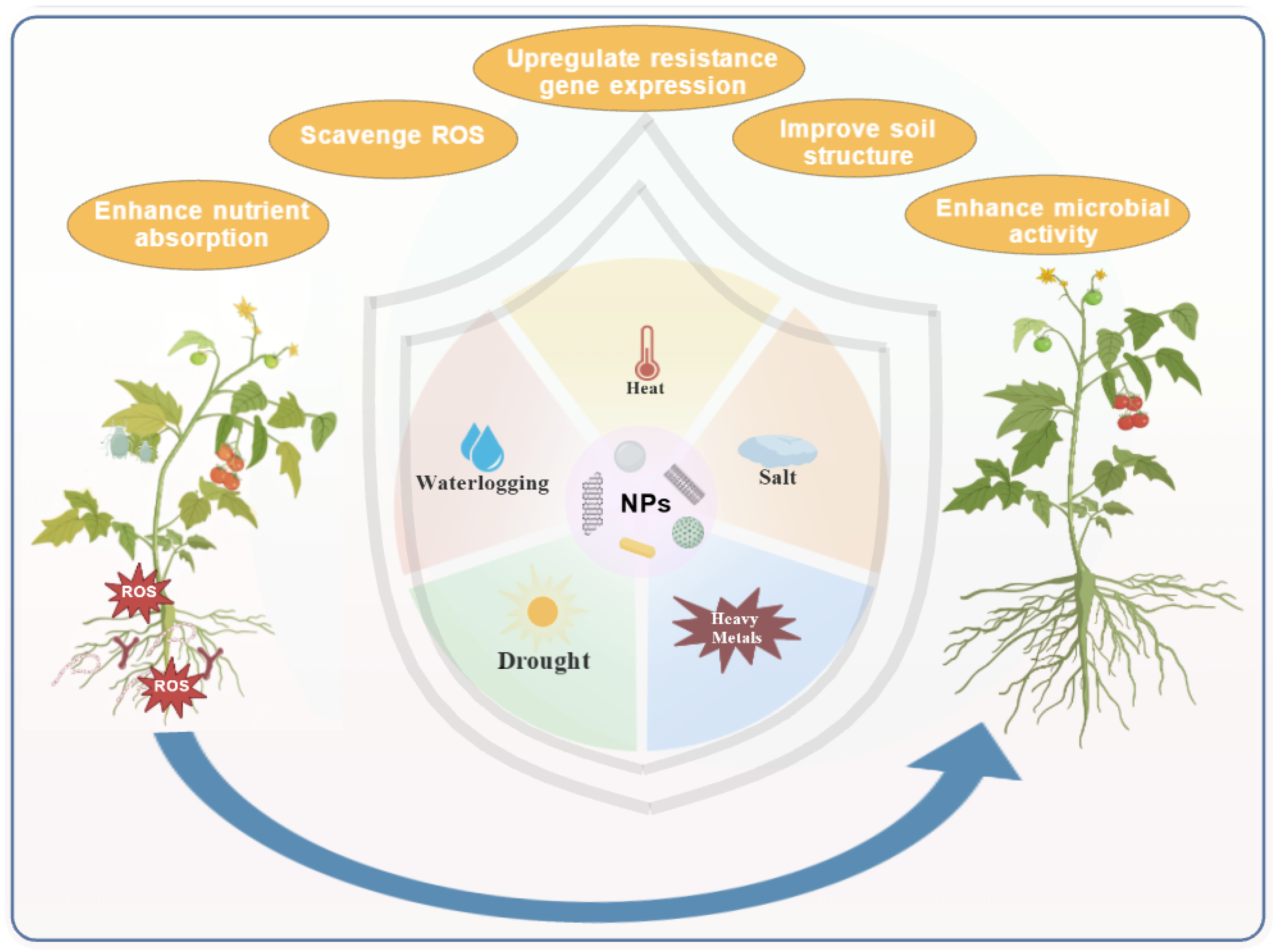 Nanomaterials 15 01743 g004