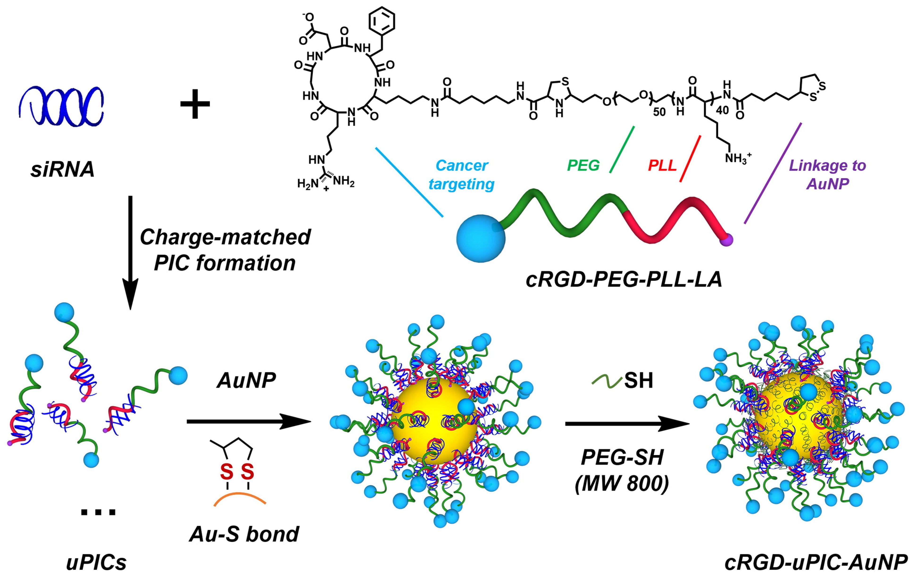 Nanomaterials 15 01744 g004