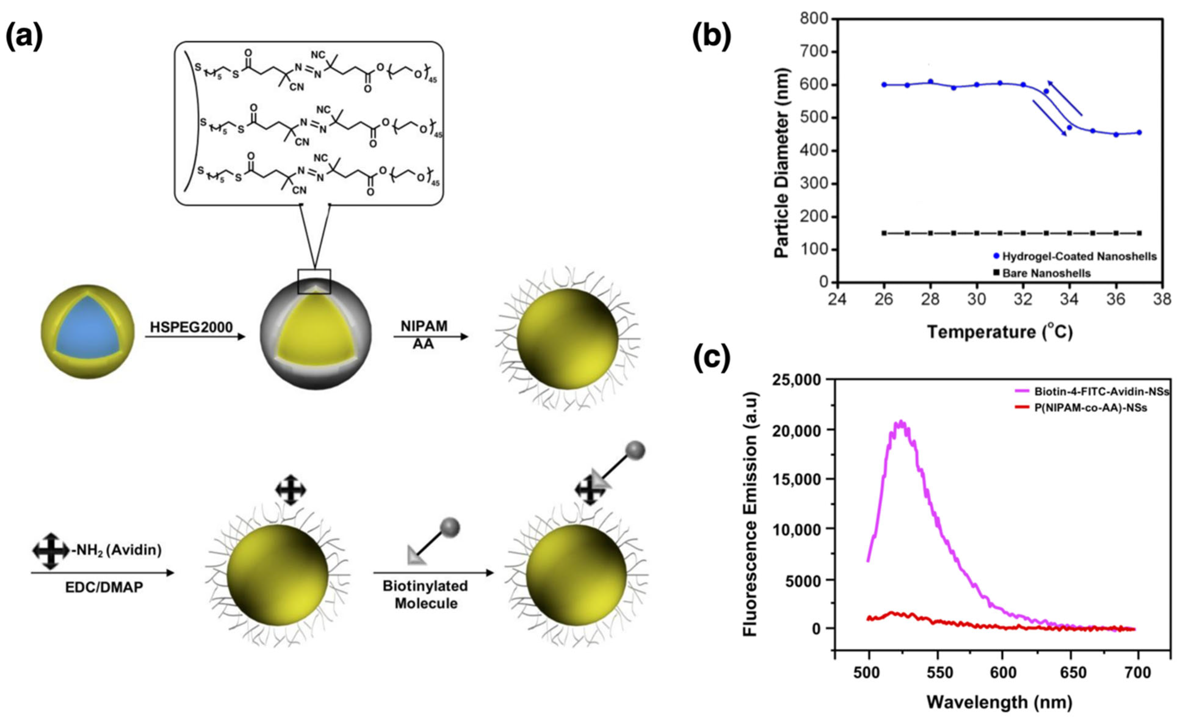 Nanomaterials 15 01744 g005