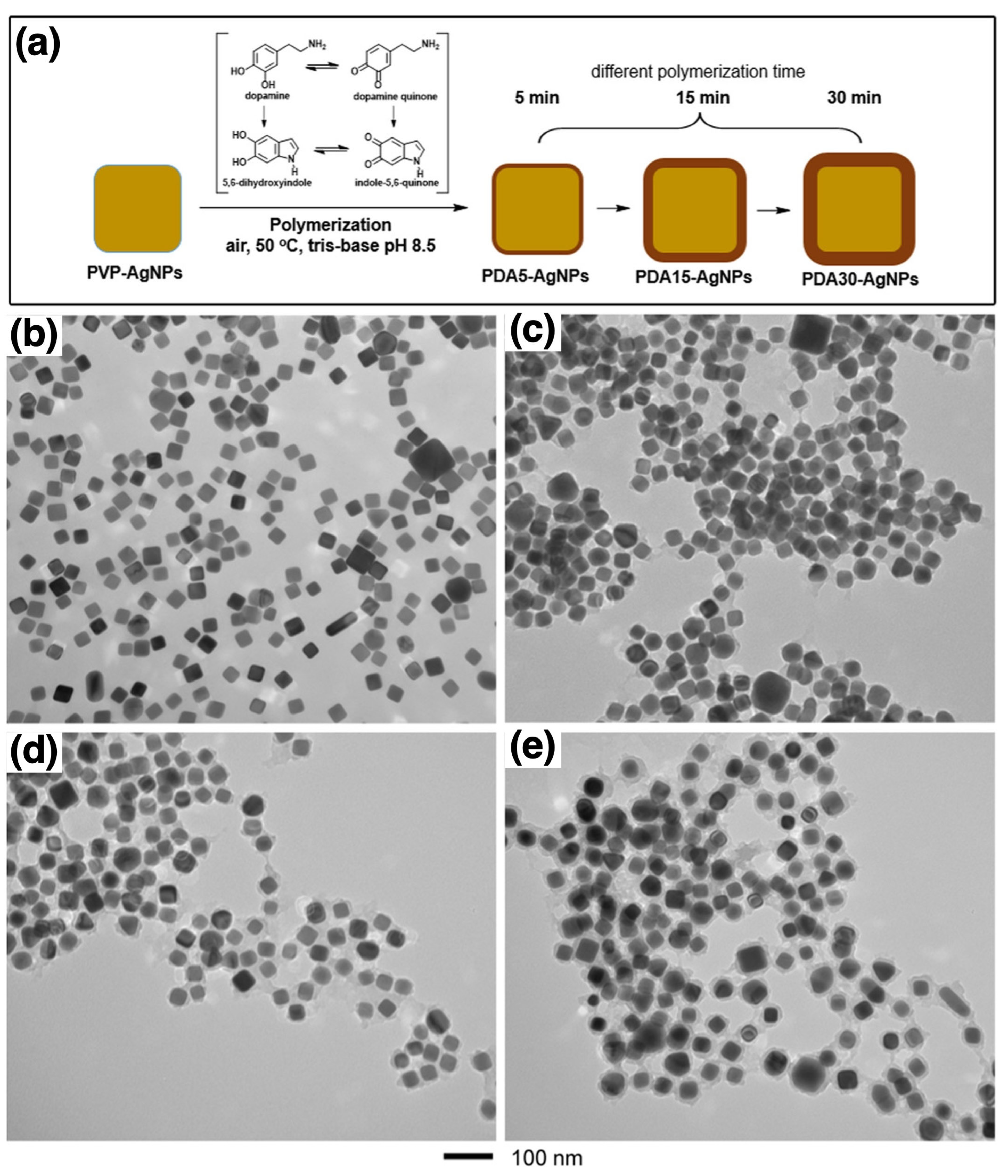 Nanomaterials 15 01744 g007