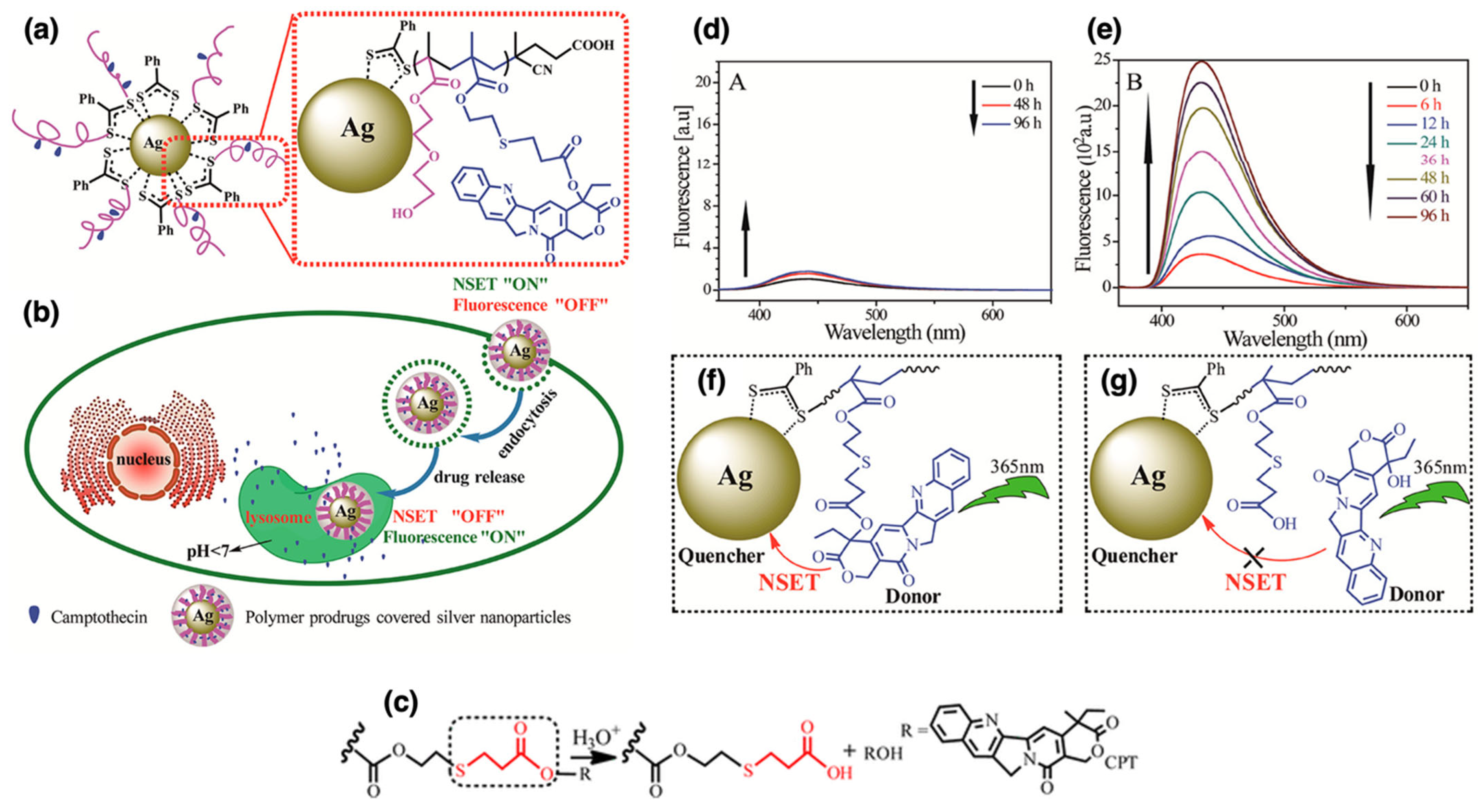 Nanomaterials 15 01744 g009