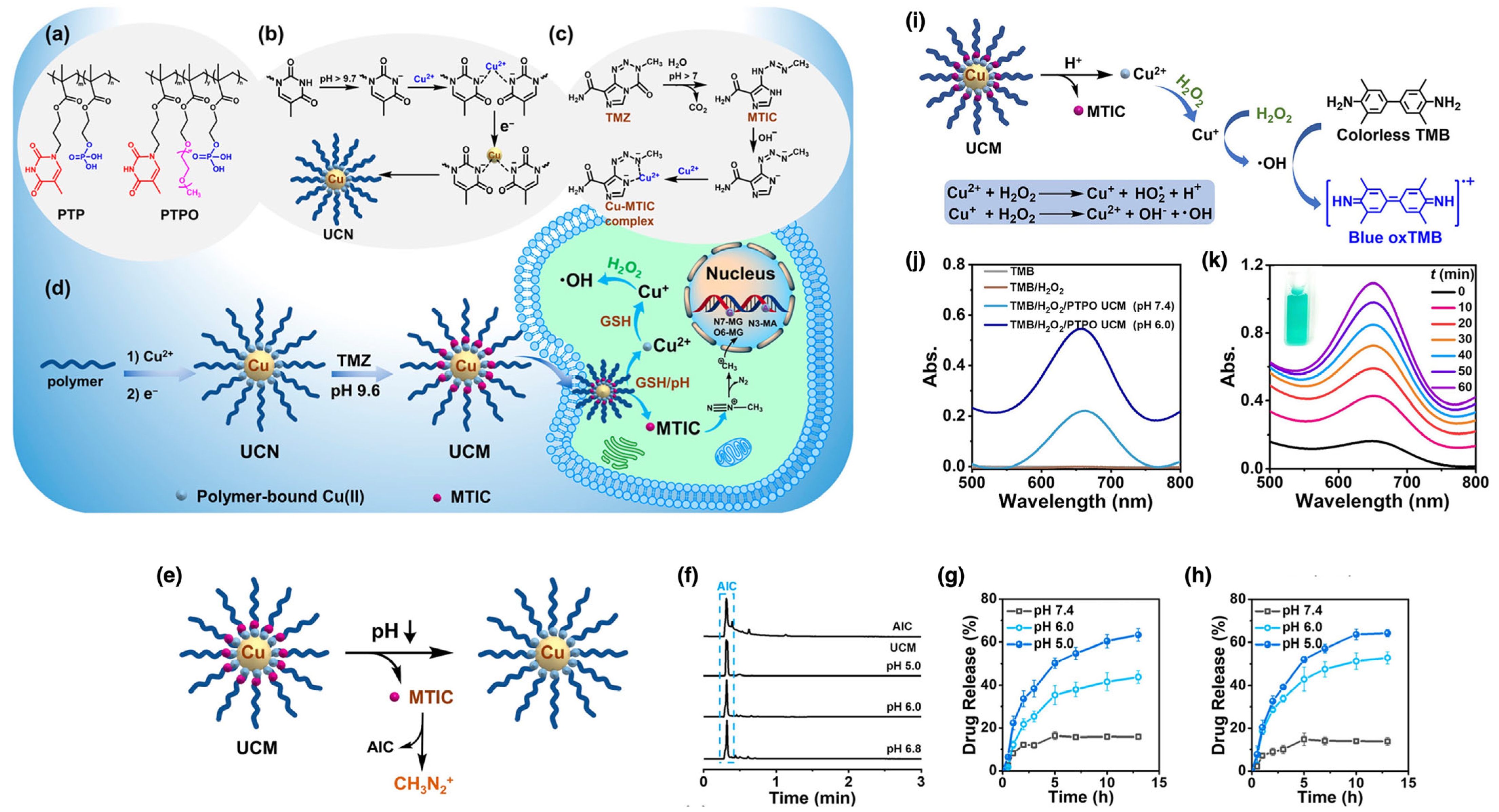 Nanomaterials 15 01744 g010