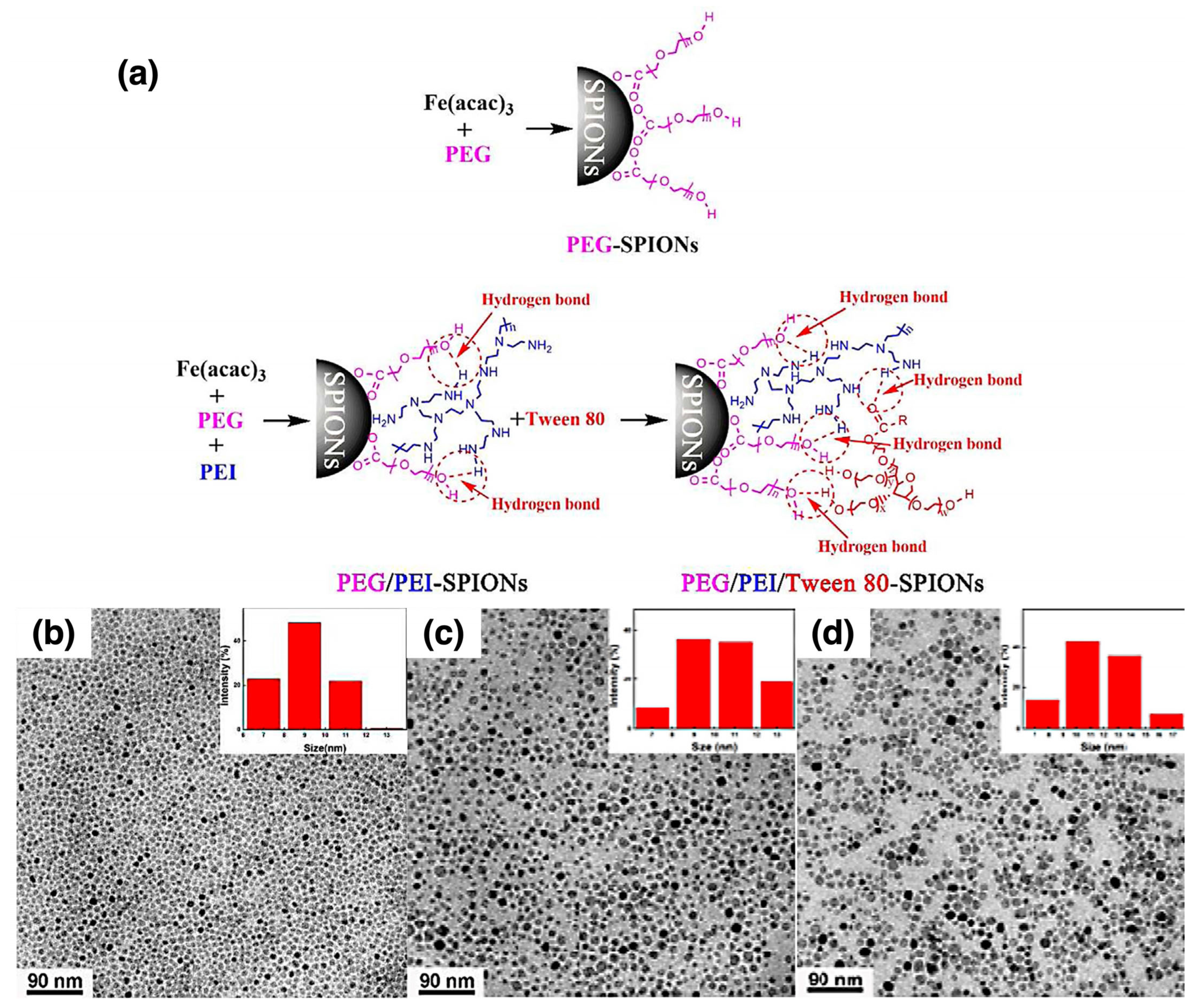 Nanomaterials 15 01744 g013