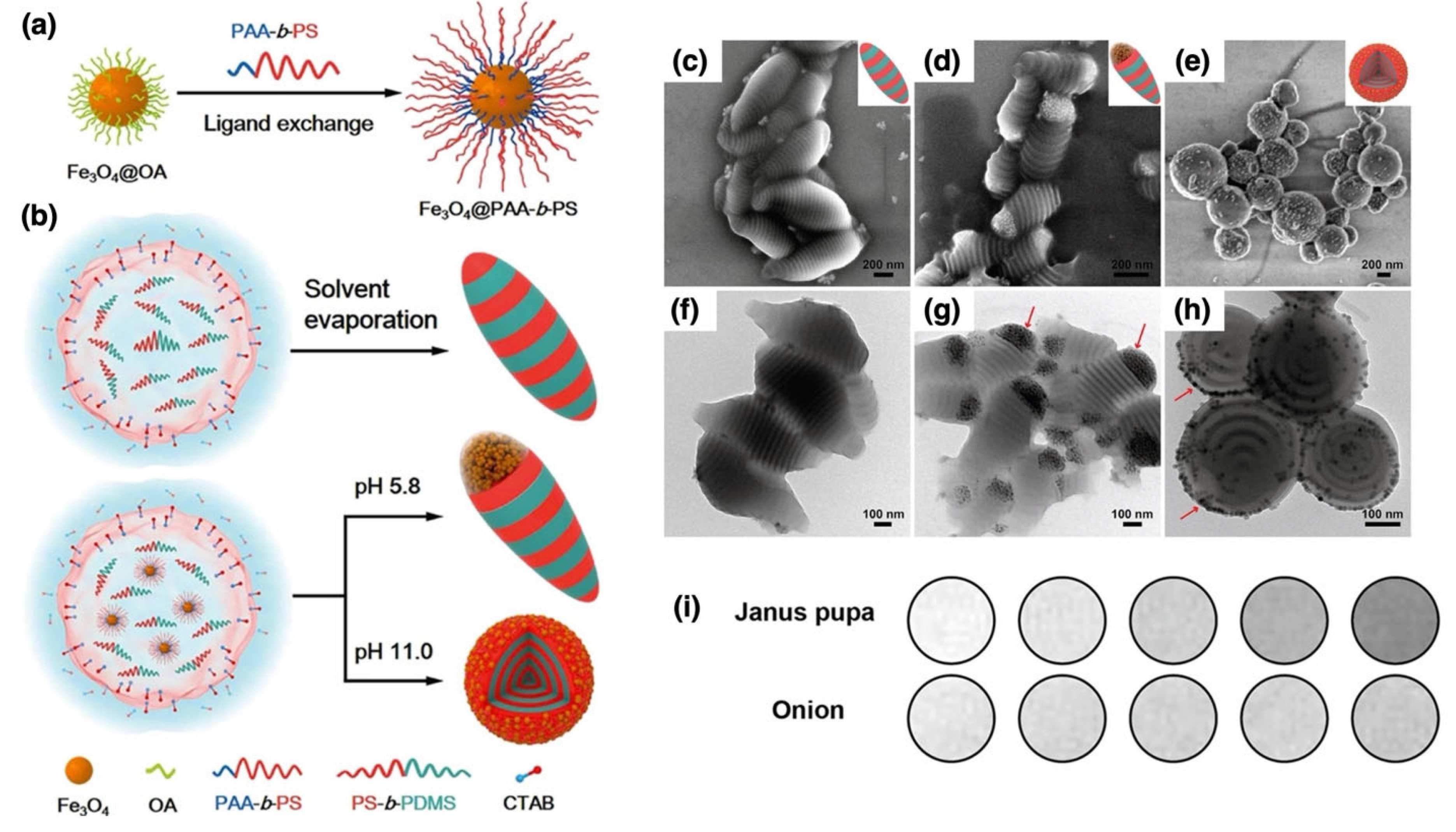 Nanomaterials 15 01744 g014