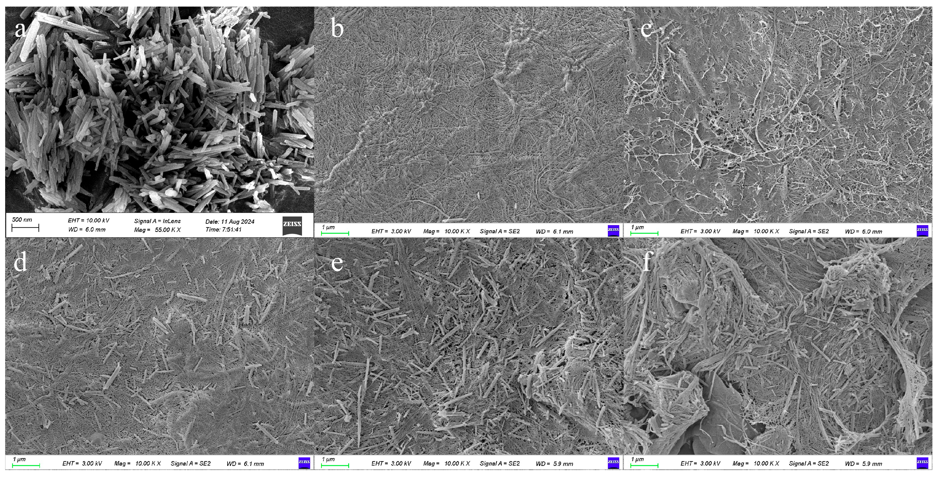 Nanomaterials 15 01745 g003