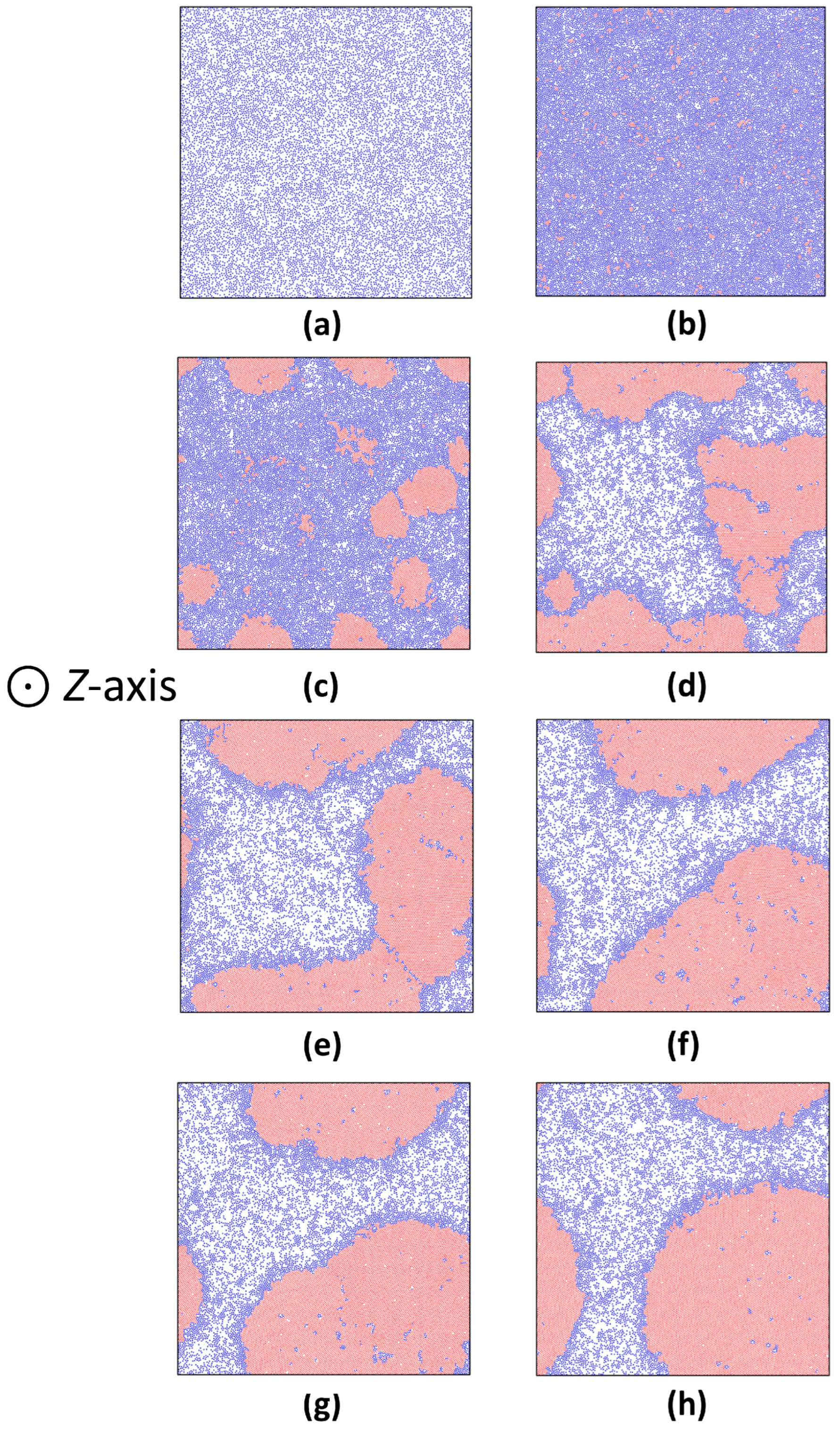 Nanomaterials 15 01746 g007
