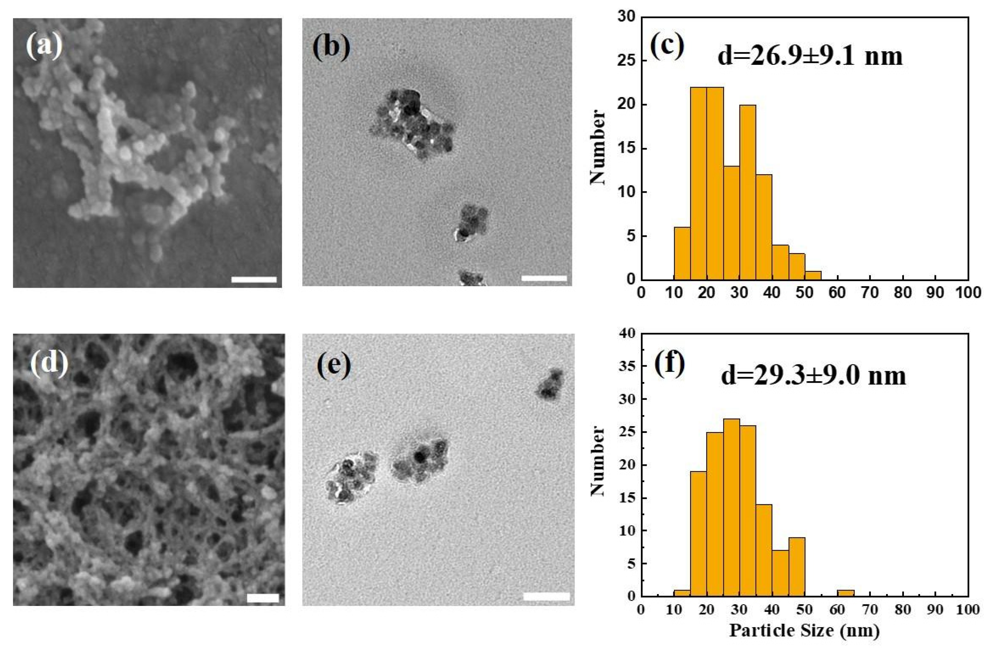 Nanomaterials 15 01747 g001