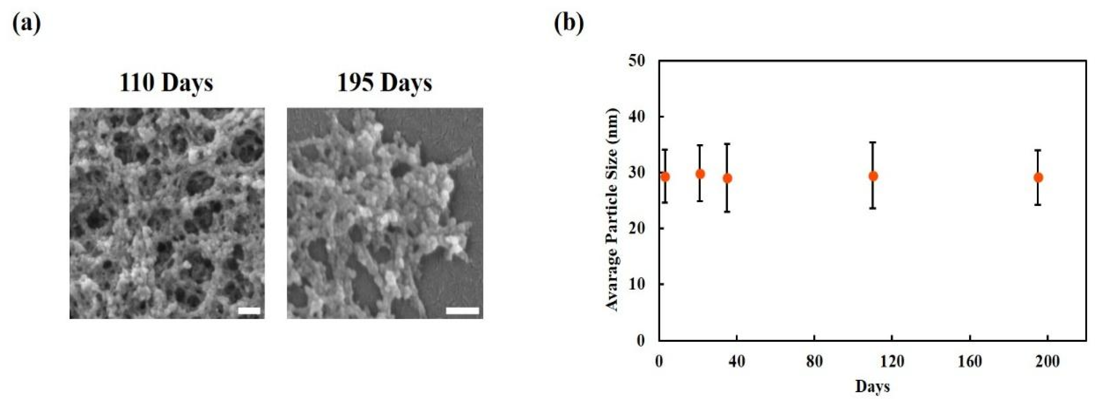Nanomaterials 15 01747 g002
