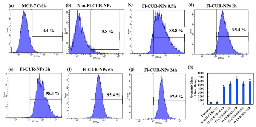 Nanomaterials 15 01747 g009