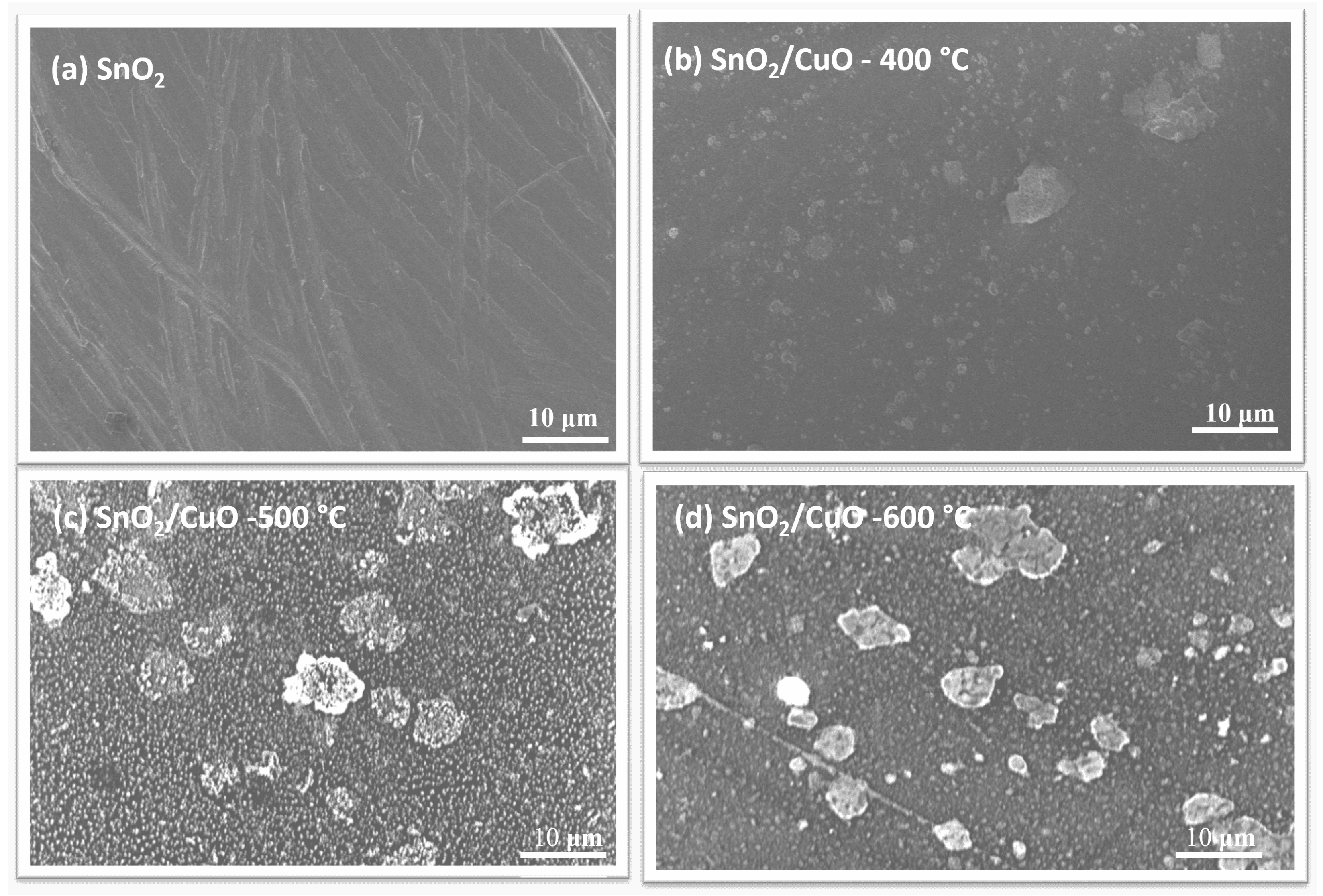 Nanomaterials 15 01748 g004 Nanomaterials 15 01748 g004