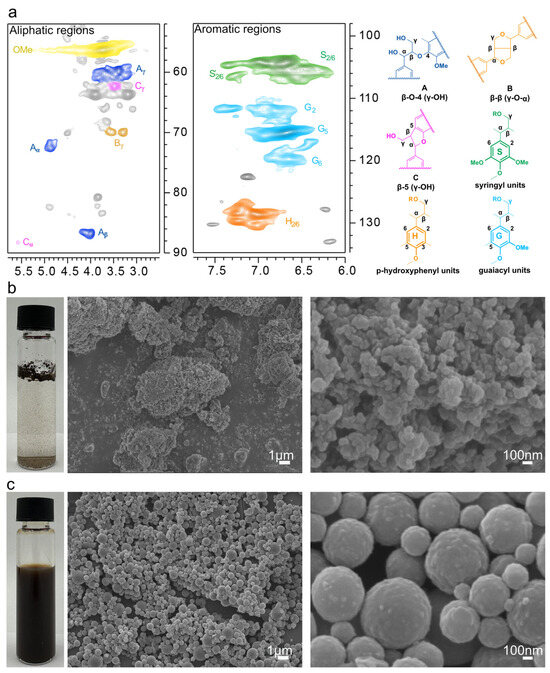 Lignin Nanoparticles from Coffee Grounds Enhance the Cytotoxicity of ...