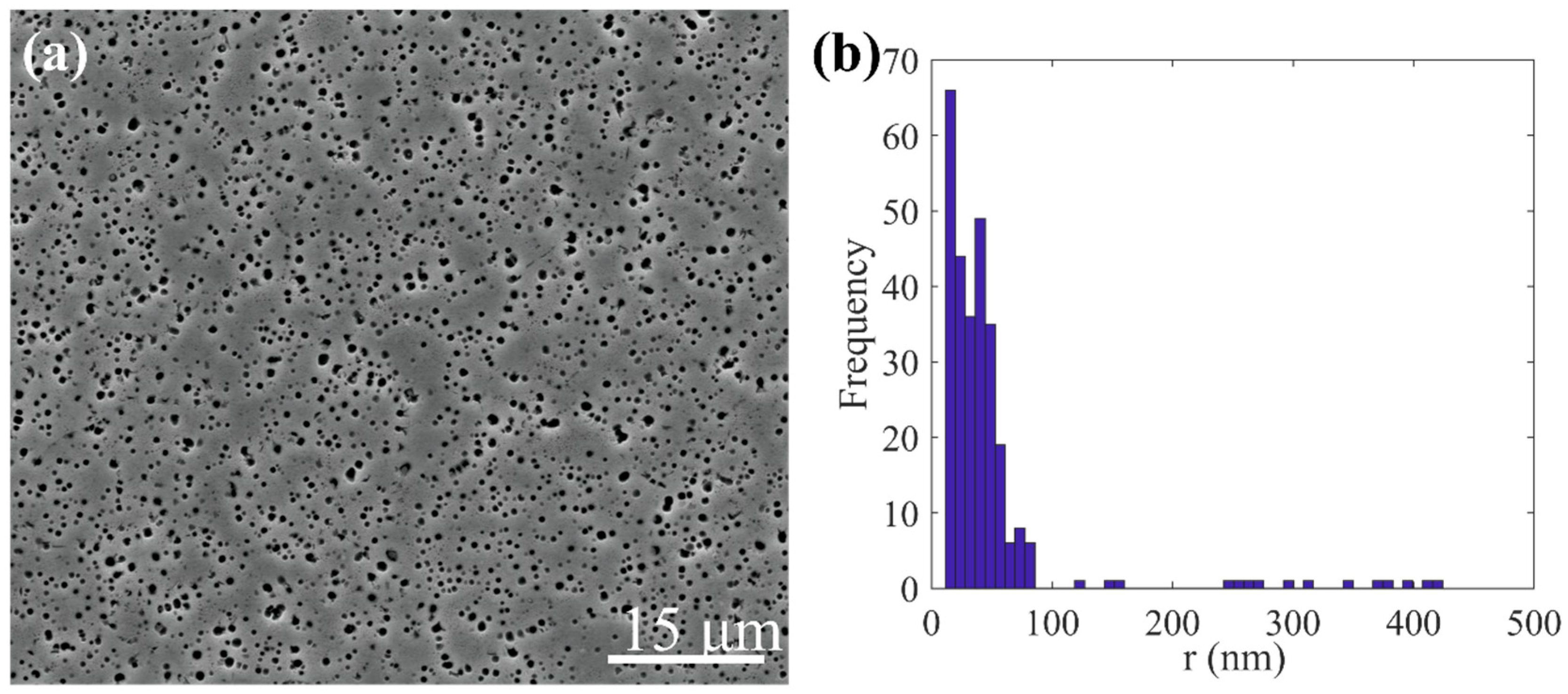 Nanomaterials 15 01759 g001