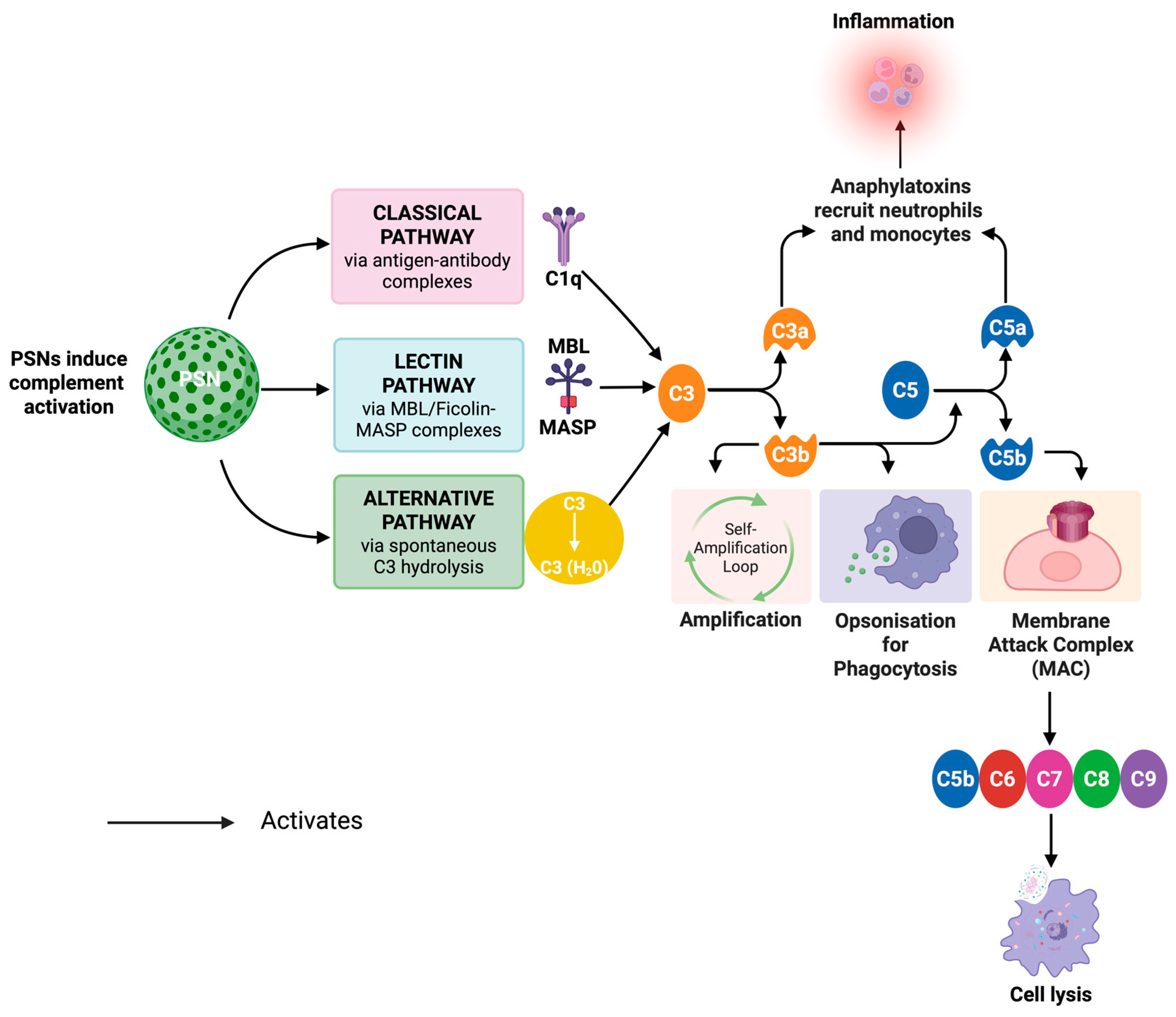 Nanomaterials 15 01766 g005