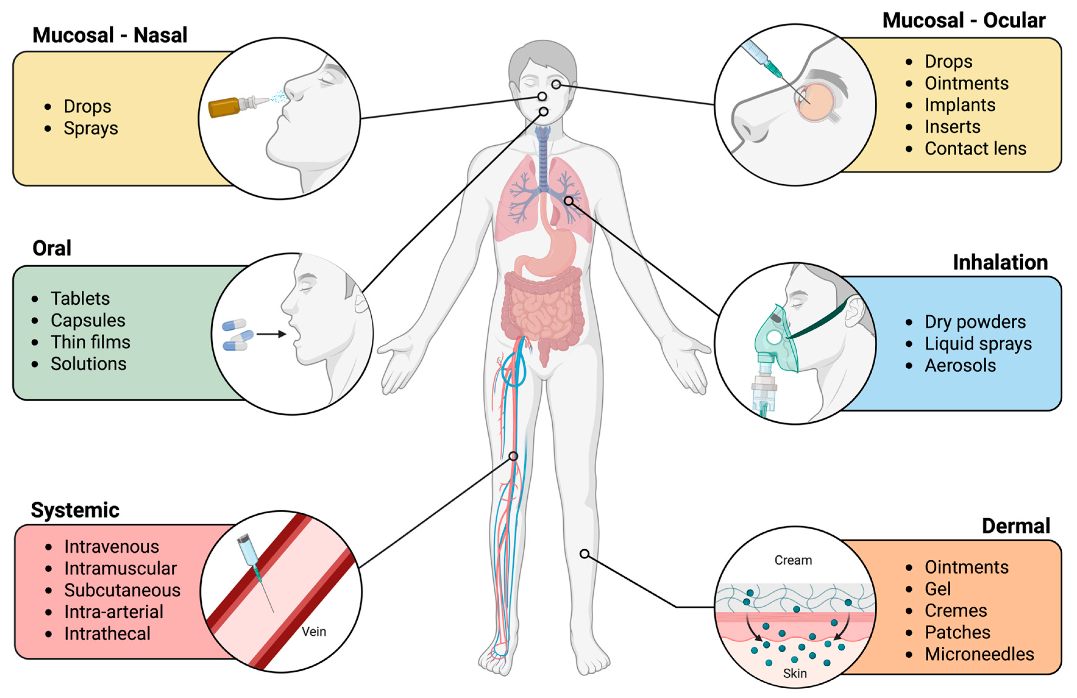 Nanomaterials 15 01766 g006