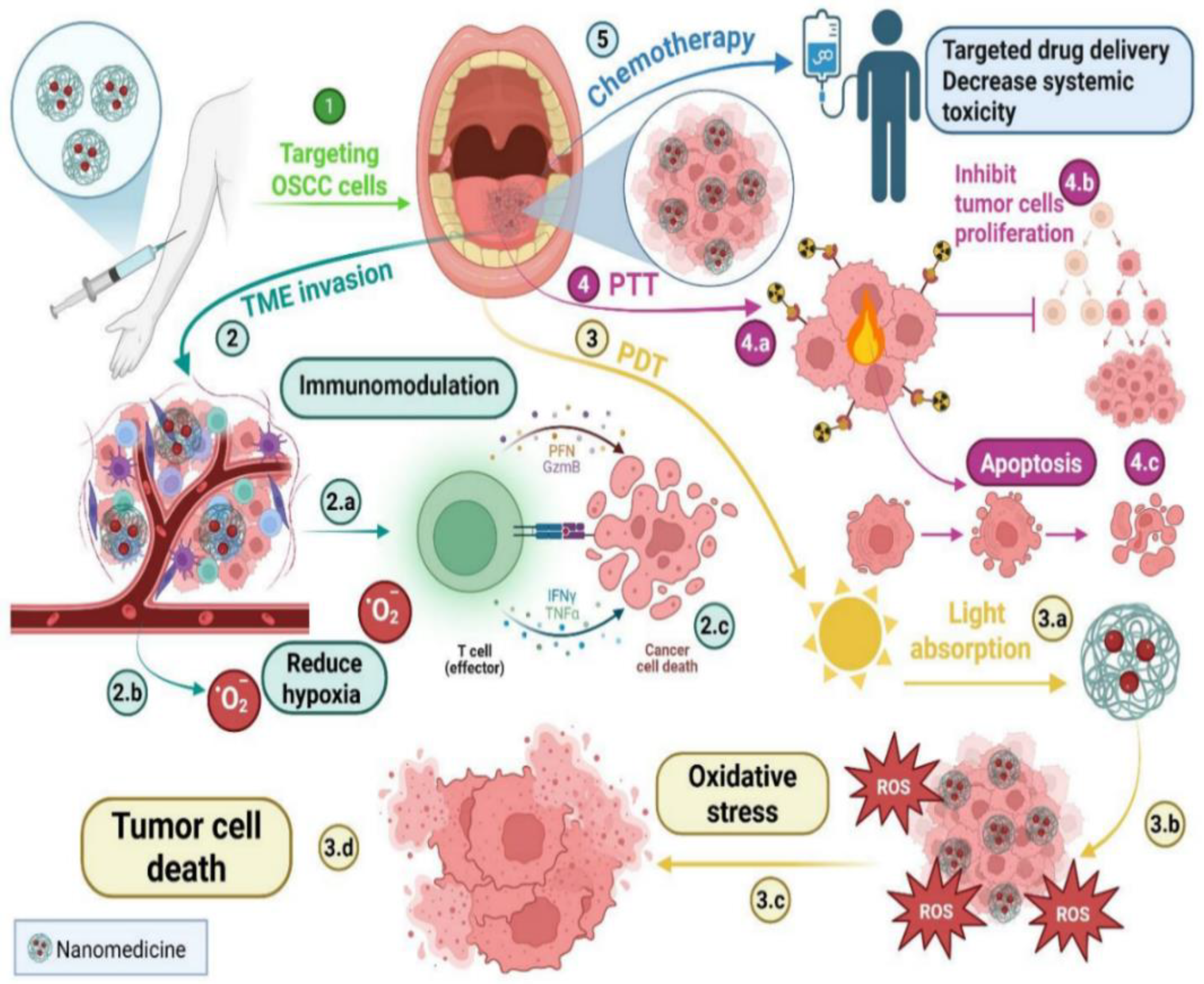 Nanomaterials 15 01767 g002