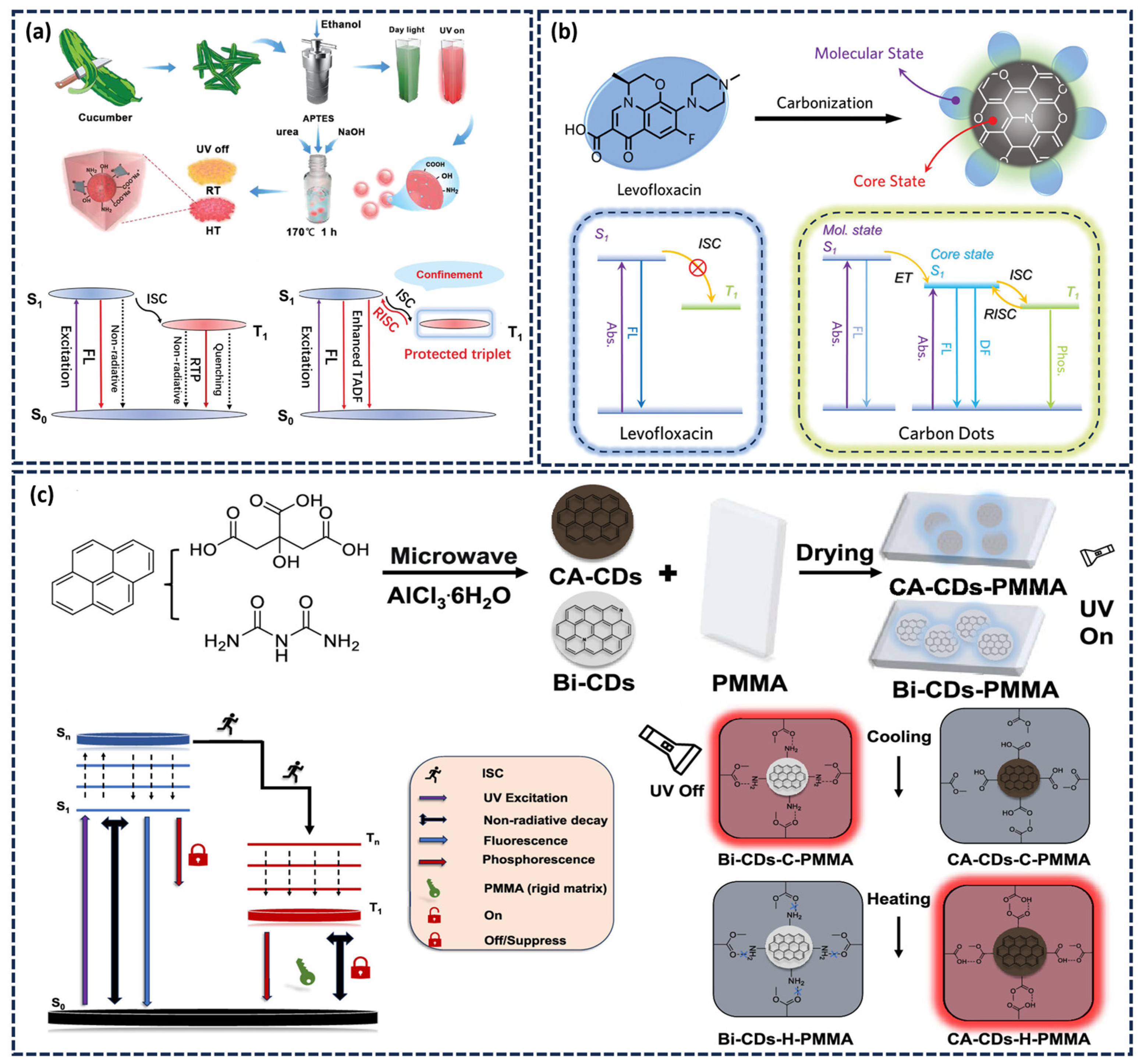 Nanomaterials 15 01769 g004