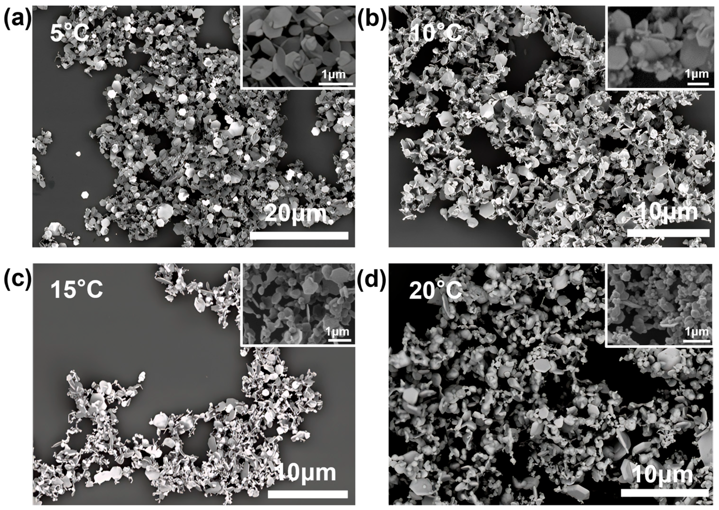 Nanomaterials 15 01770 g003