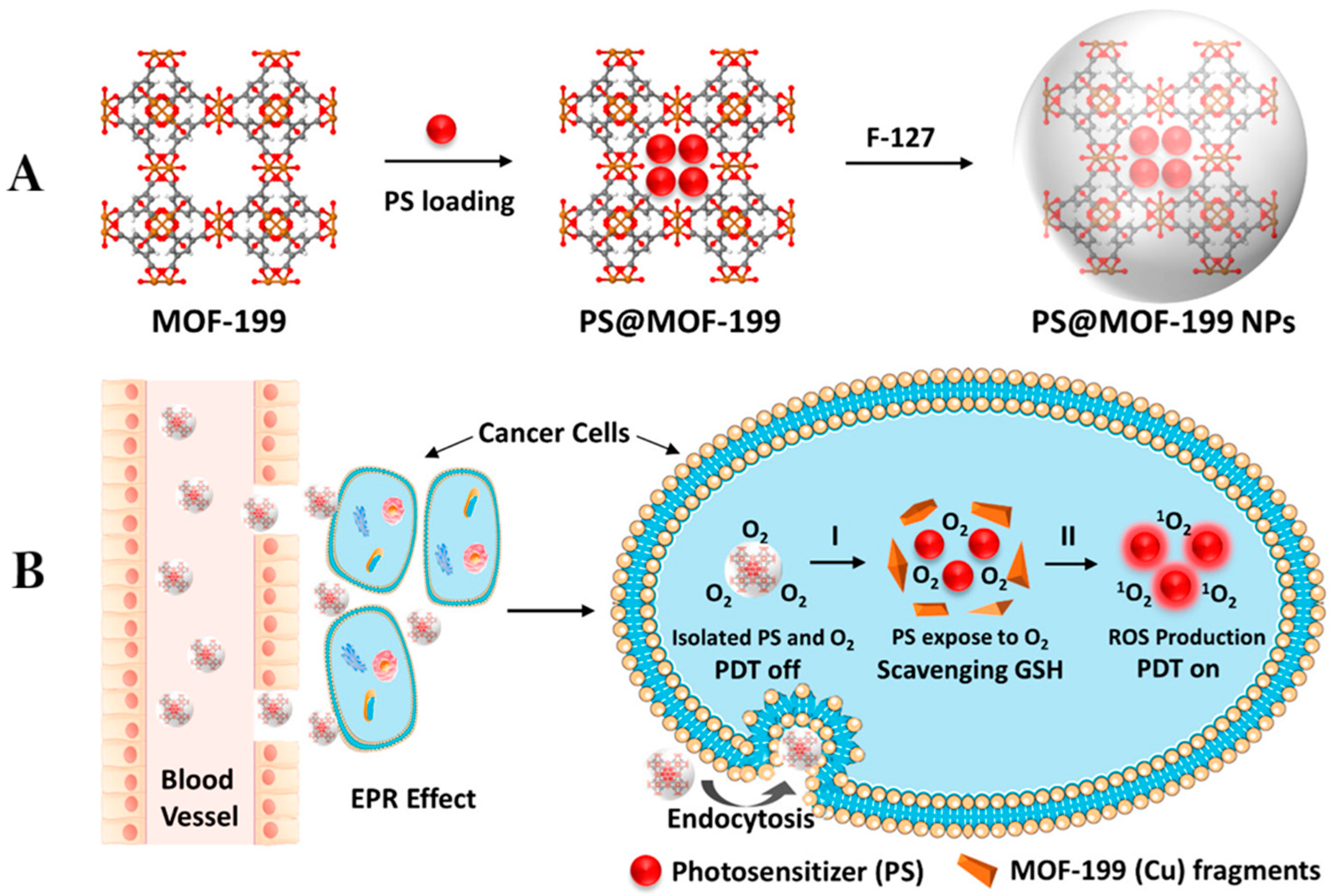 Nanomaterials 15 01771 g001