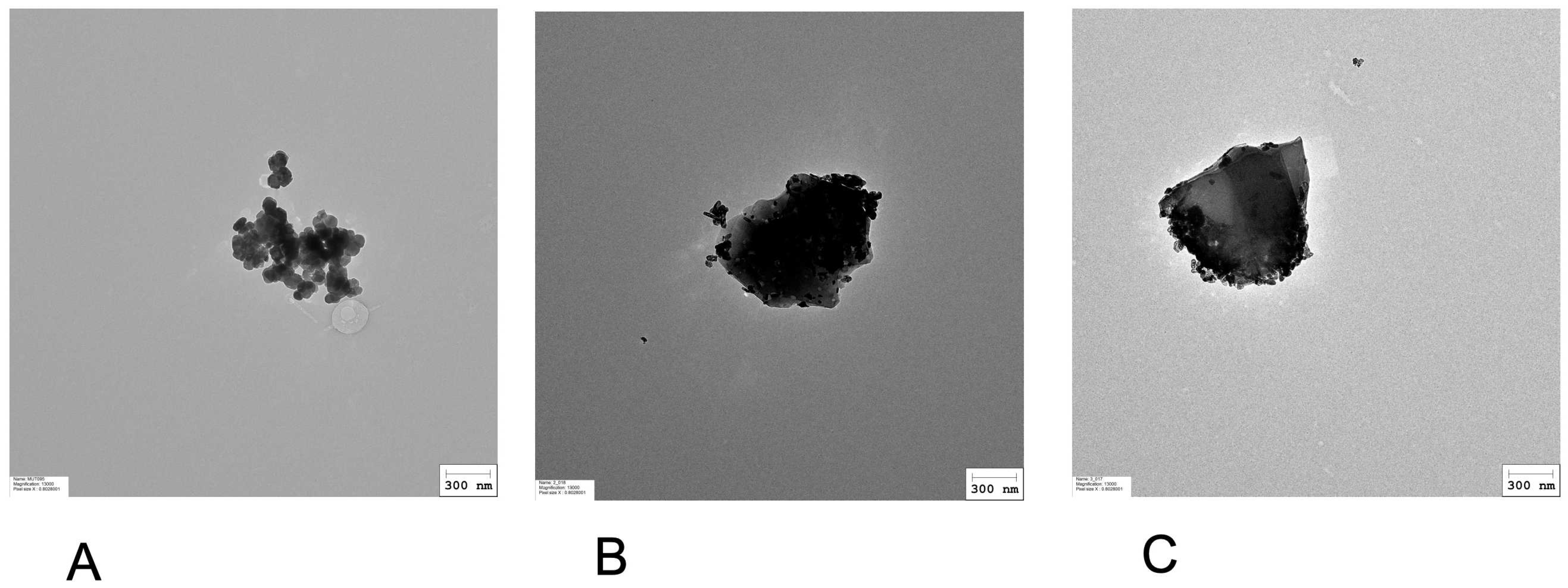 Nanomaterials 15 01772 g001