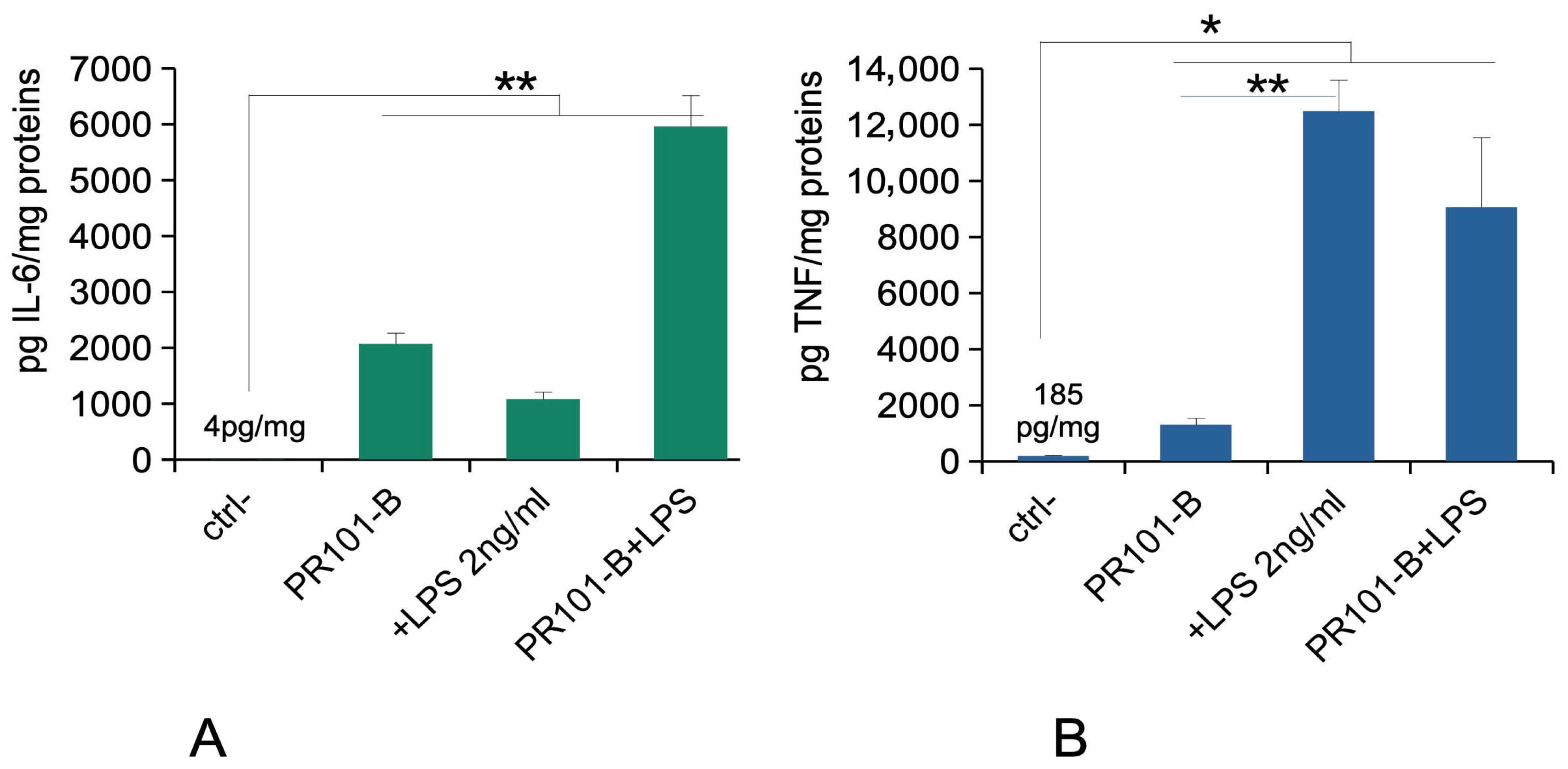 Nanomaterials 15 01772 g003