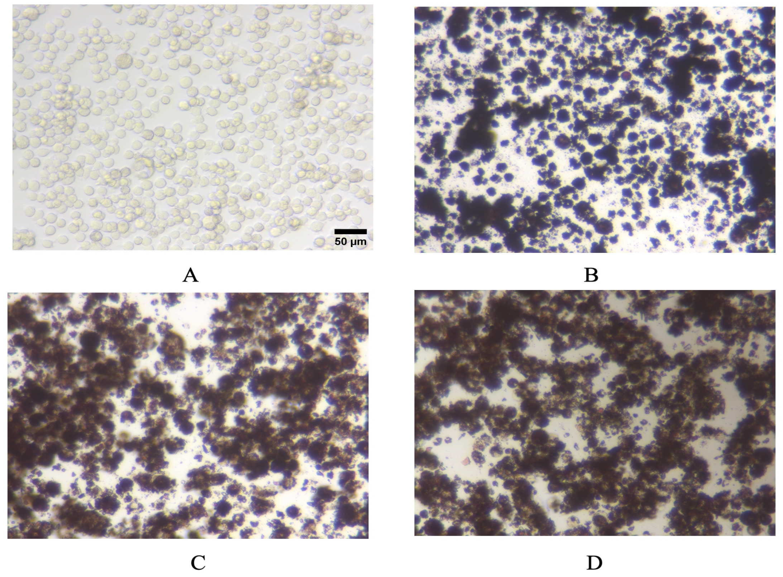 Nanomaterials 15 01772 g004