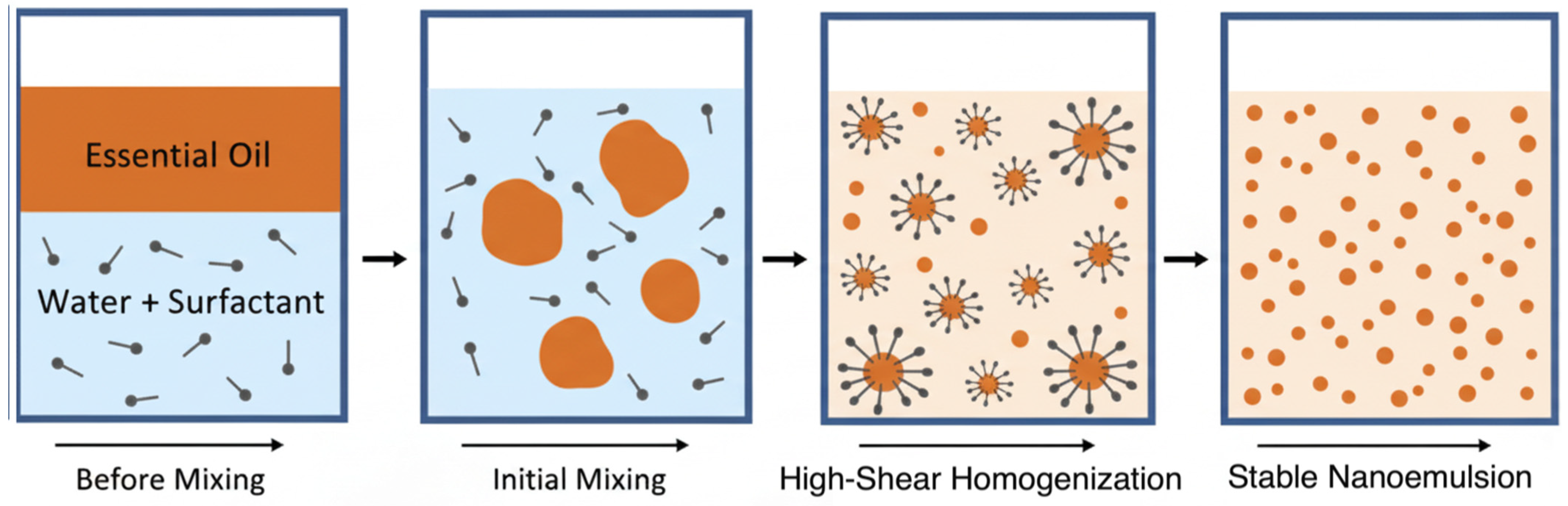 Nanomaterials 15 01773 g002