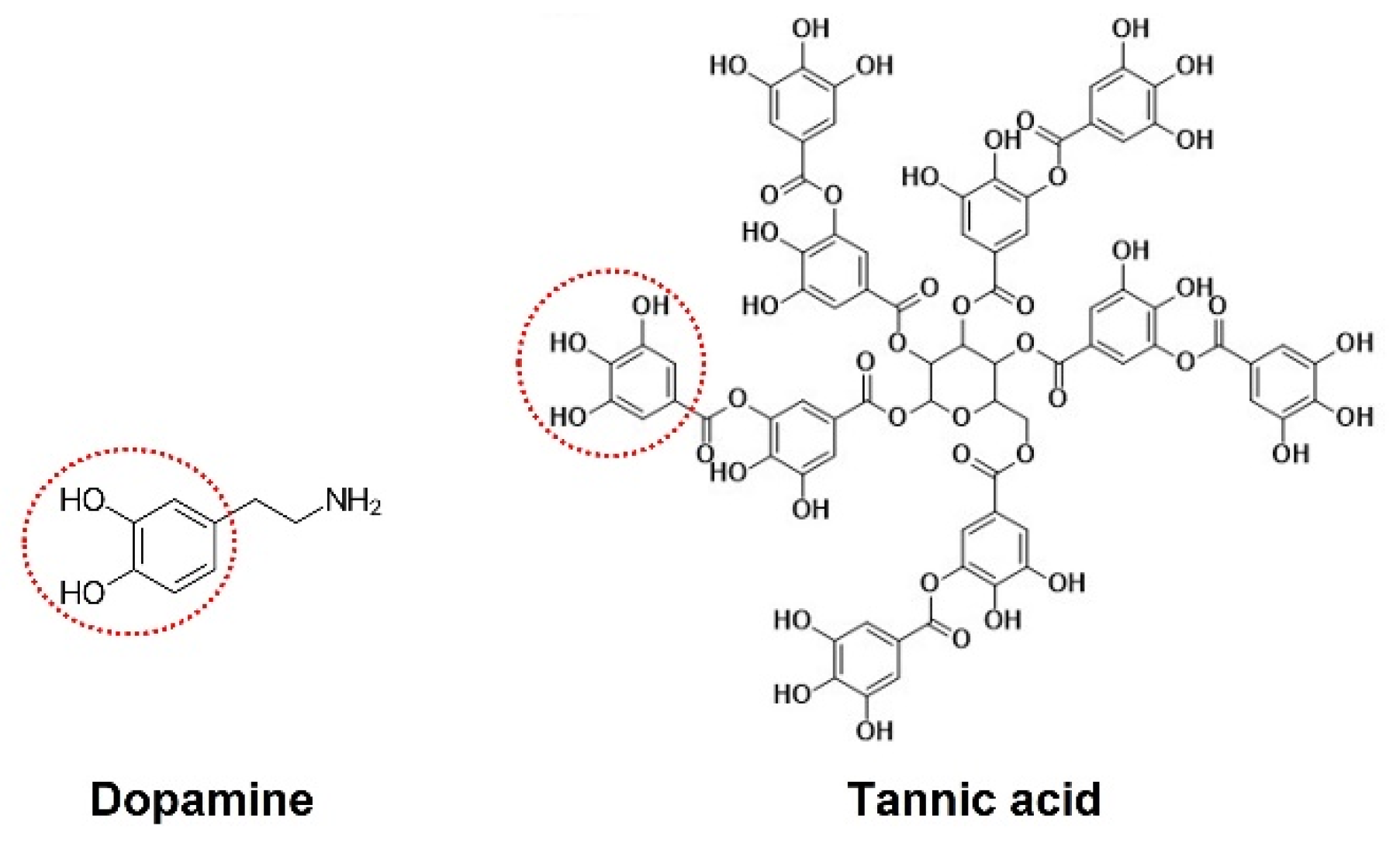 Nanomaterials 15 01775 g001 Nanomaterials 15 01775 g001