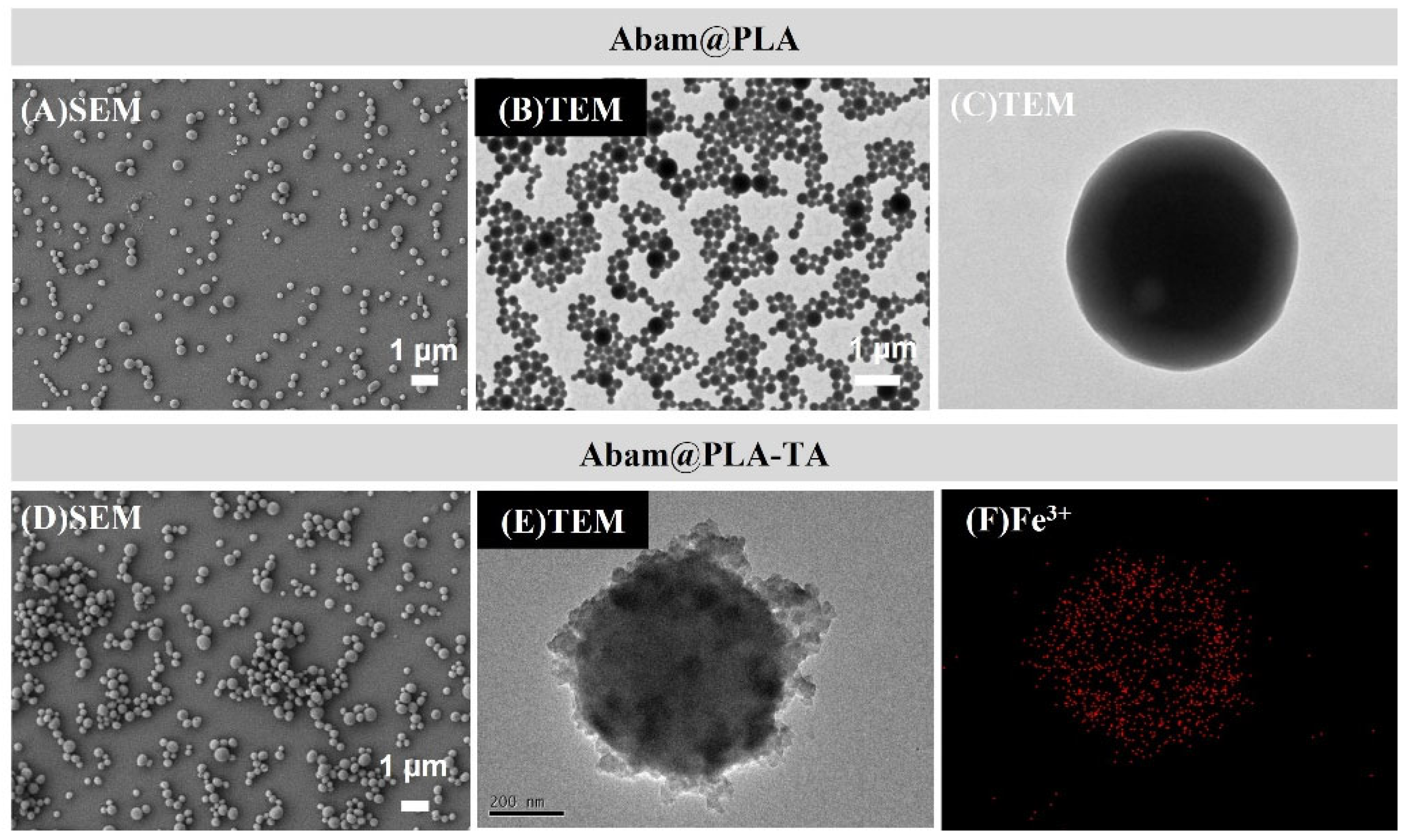 Nanomaterials 15 01775 g004 Nanomaterials 15 01775 g004