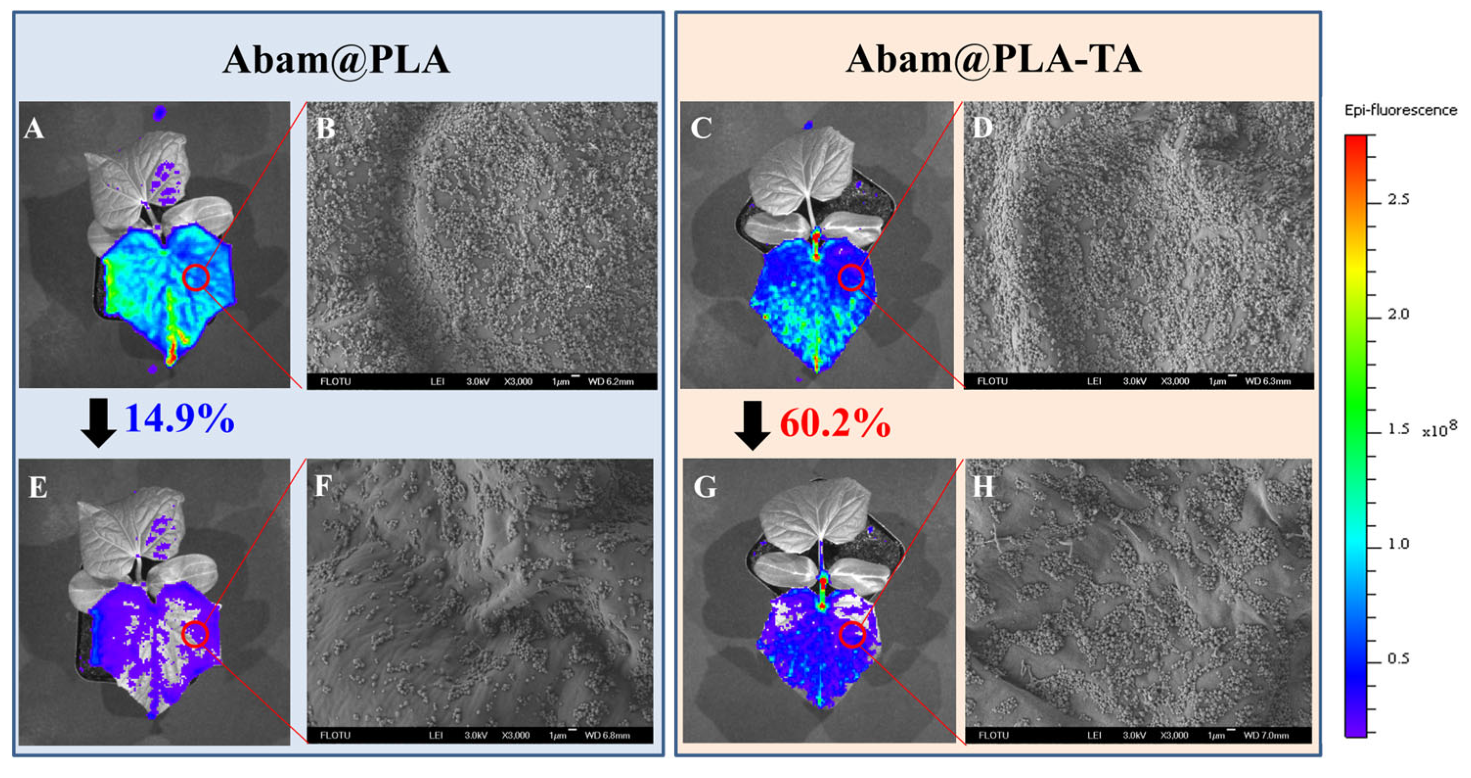 Nanomaterials 15 01775 g010 Nanomaterials 15 01775 g010