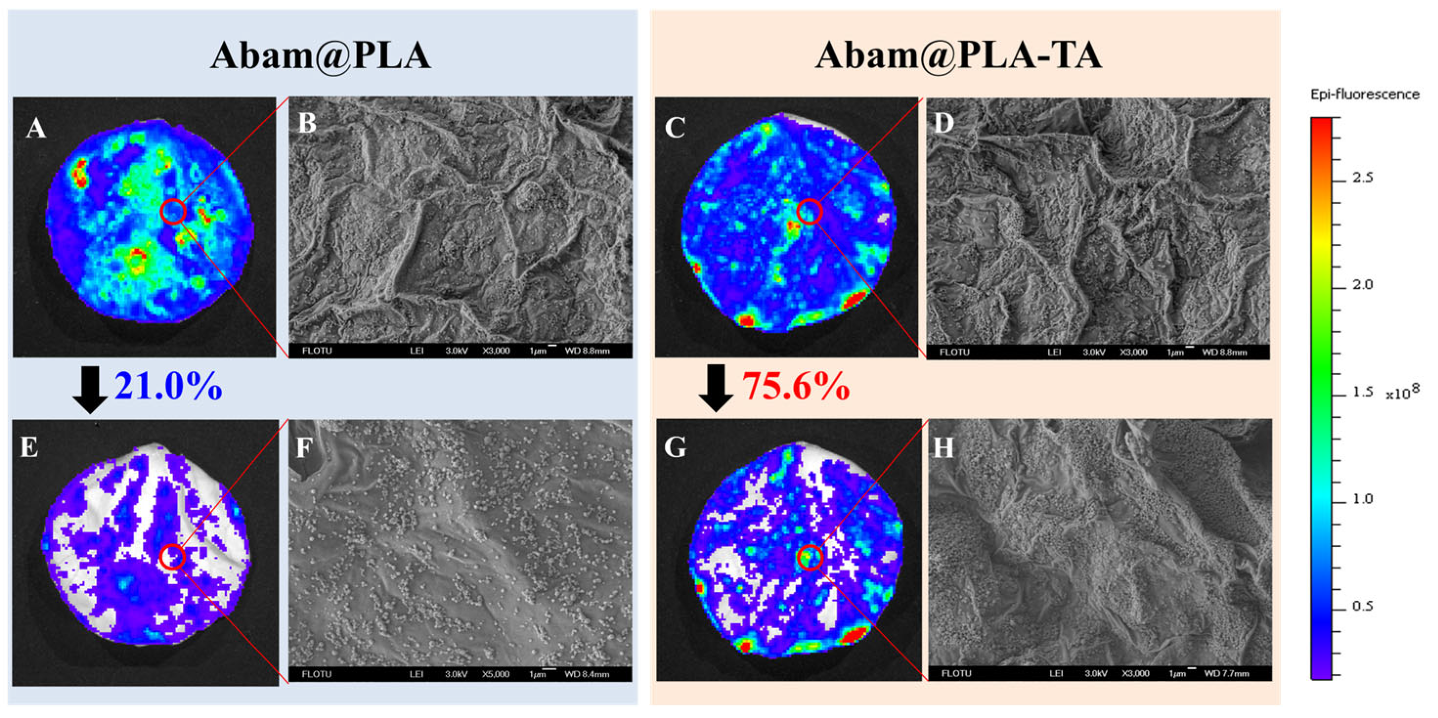 Nanomaterials 15 01775 g011 Nanomaterials 15 01775 g011