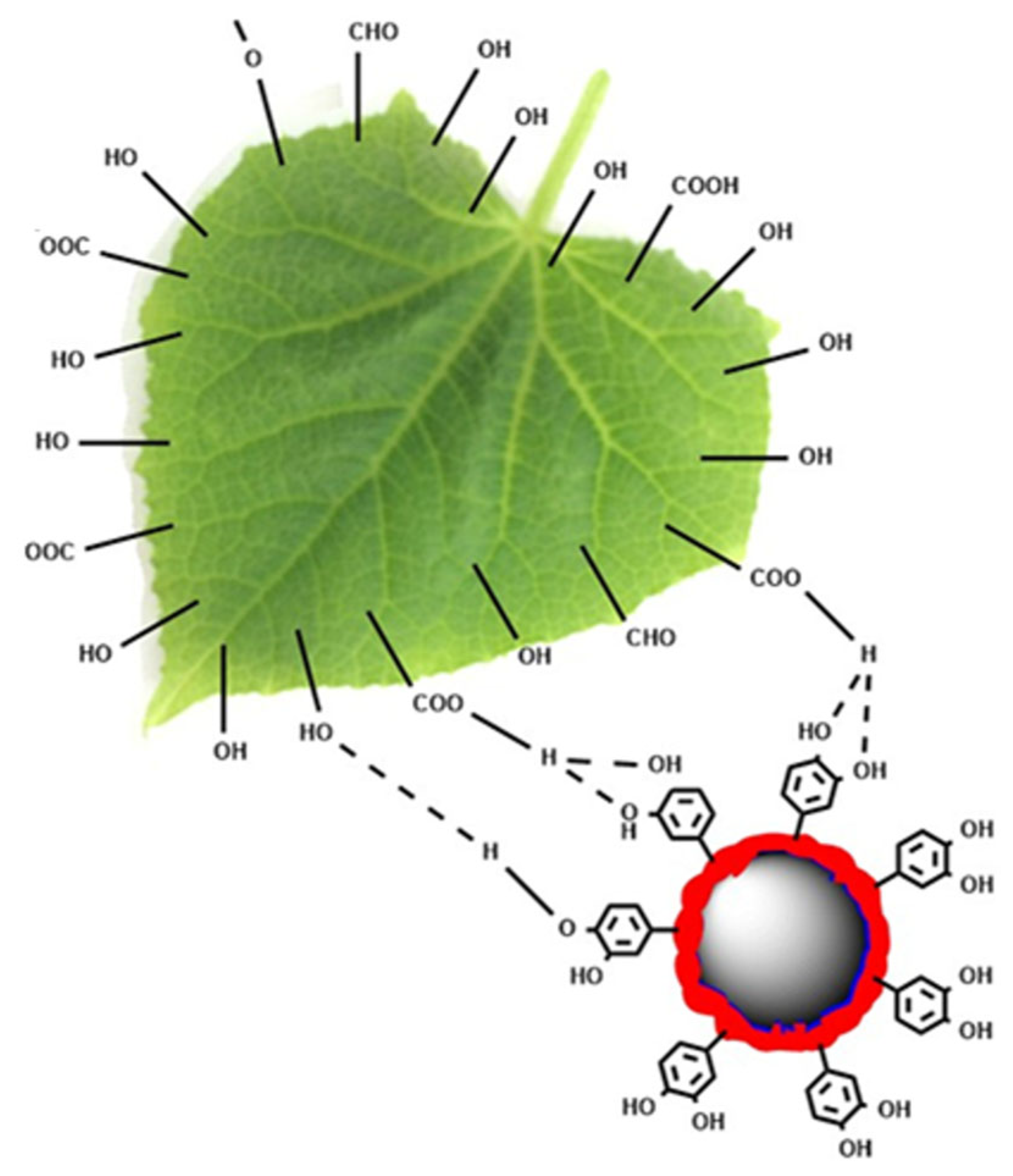 Nanomaterials 15 01775 g013 Nanomaterials 15 01775 g013
