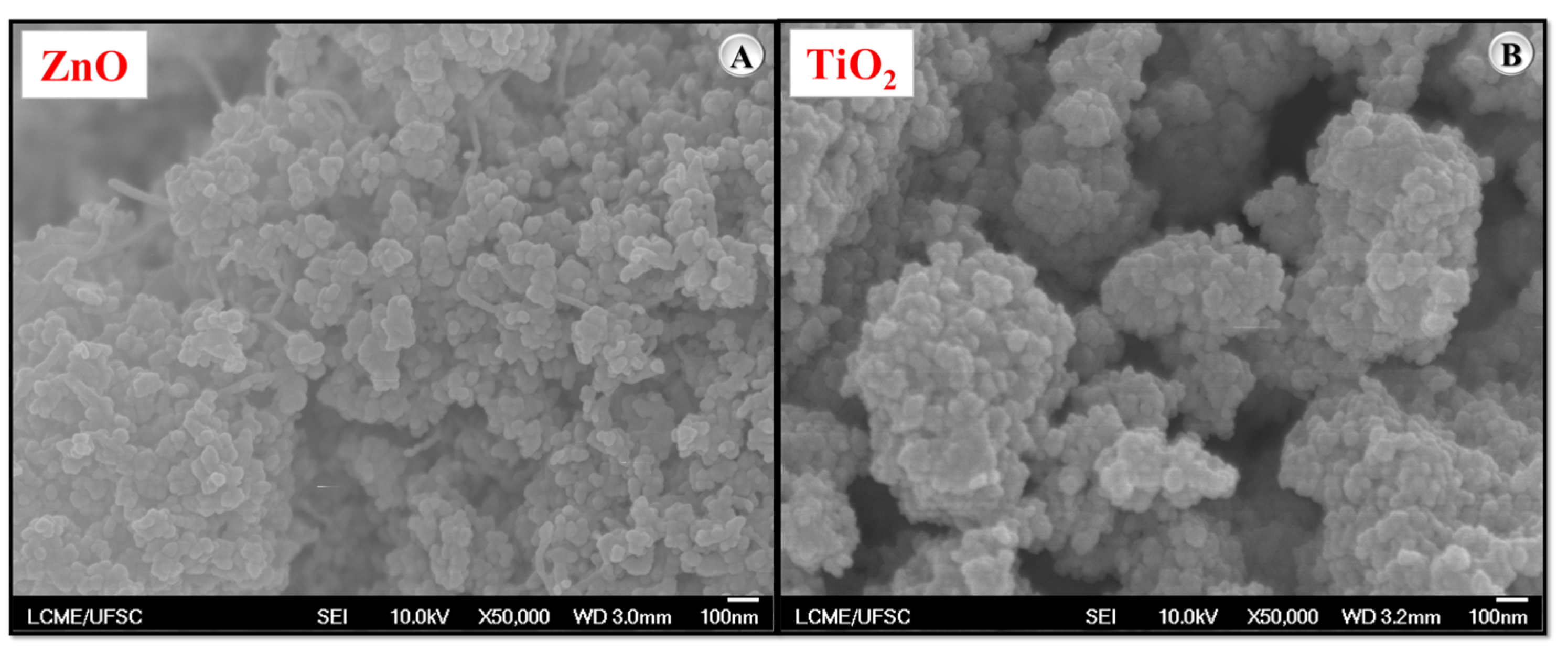 Nanomaterials 15 01779 g001