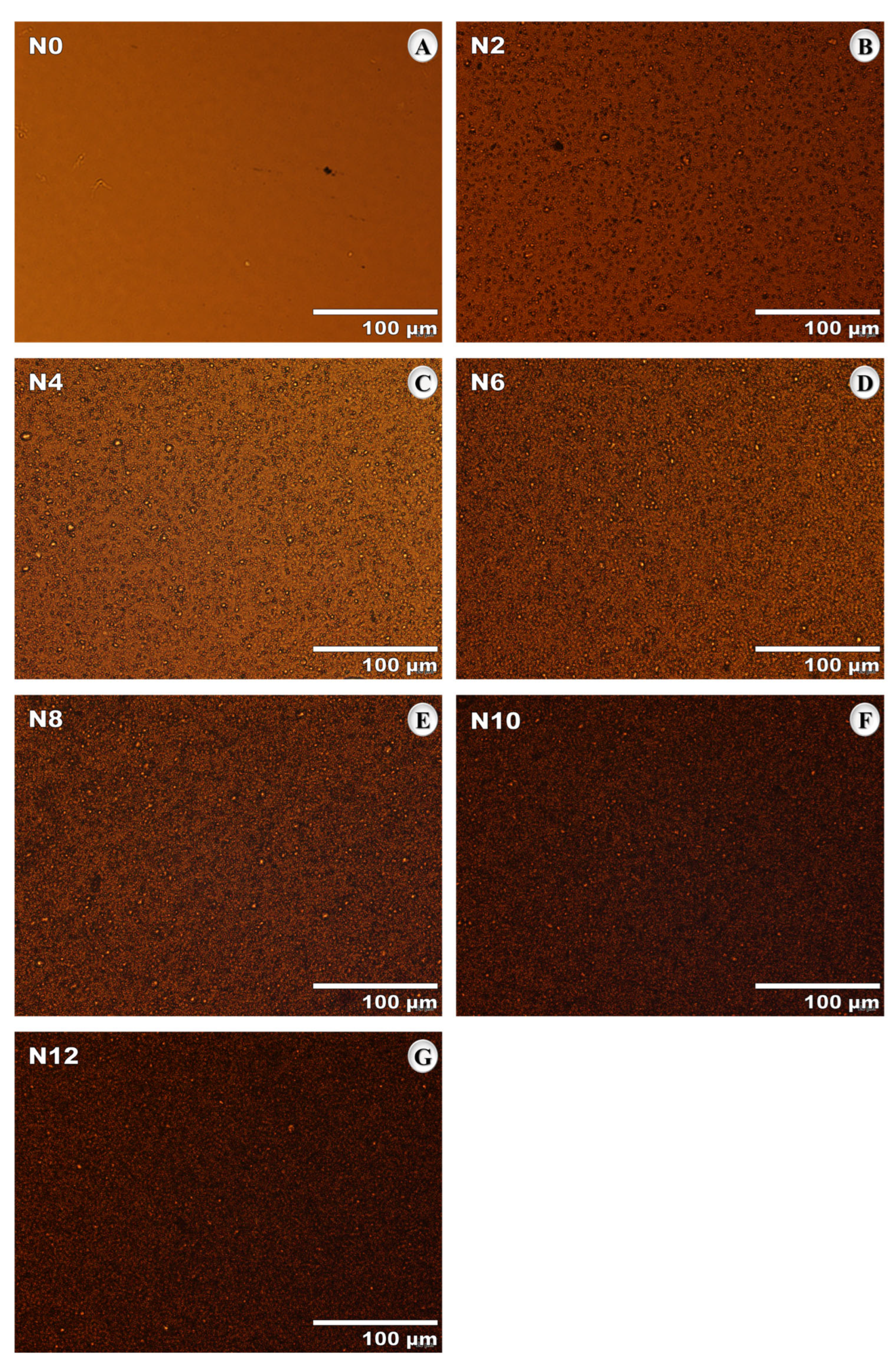Nanomaterials 15 01779 g009