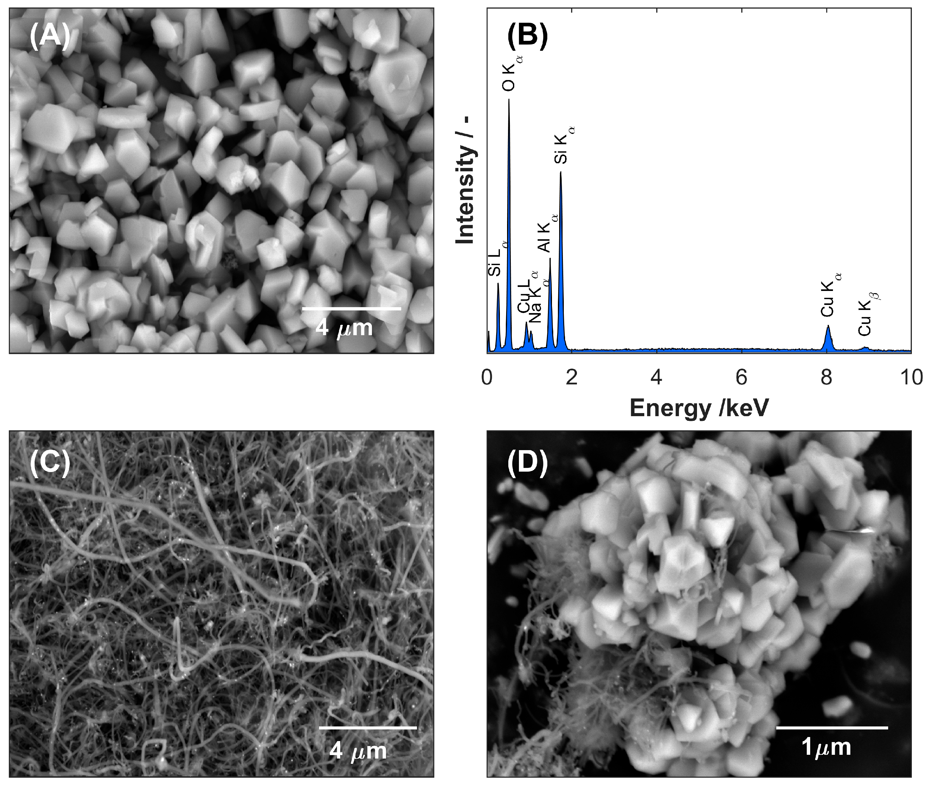 Nanomaterials 15 01781 g001